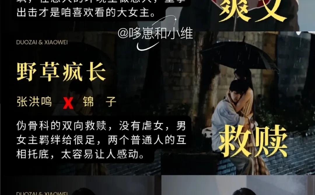 11月短剧复盘 | 9️⃣ 部高质量细糠刷N遍都