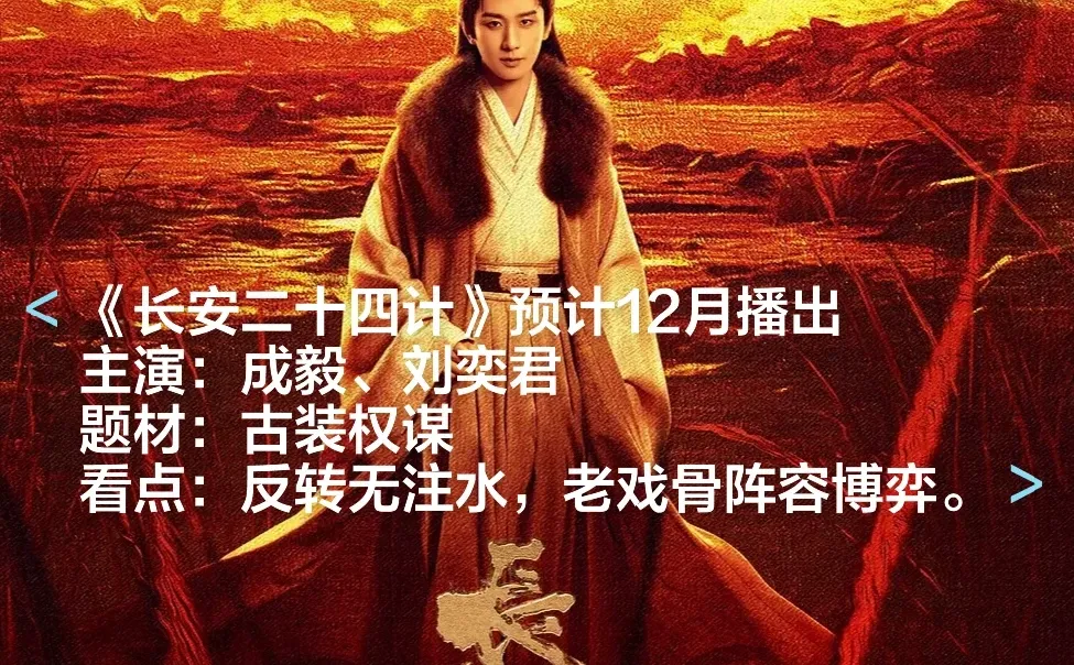 🎬2025十二月各大平台热播剧和待播剧