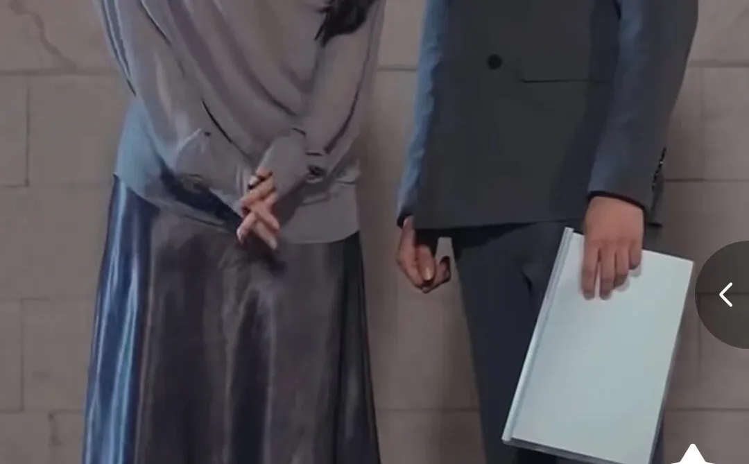 清冷月光坠我心 可看