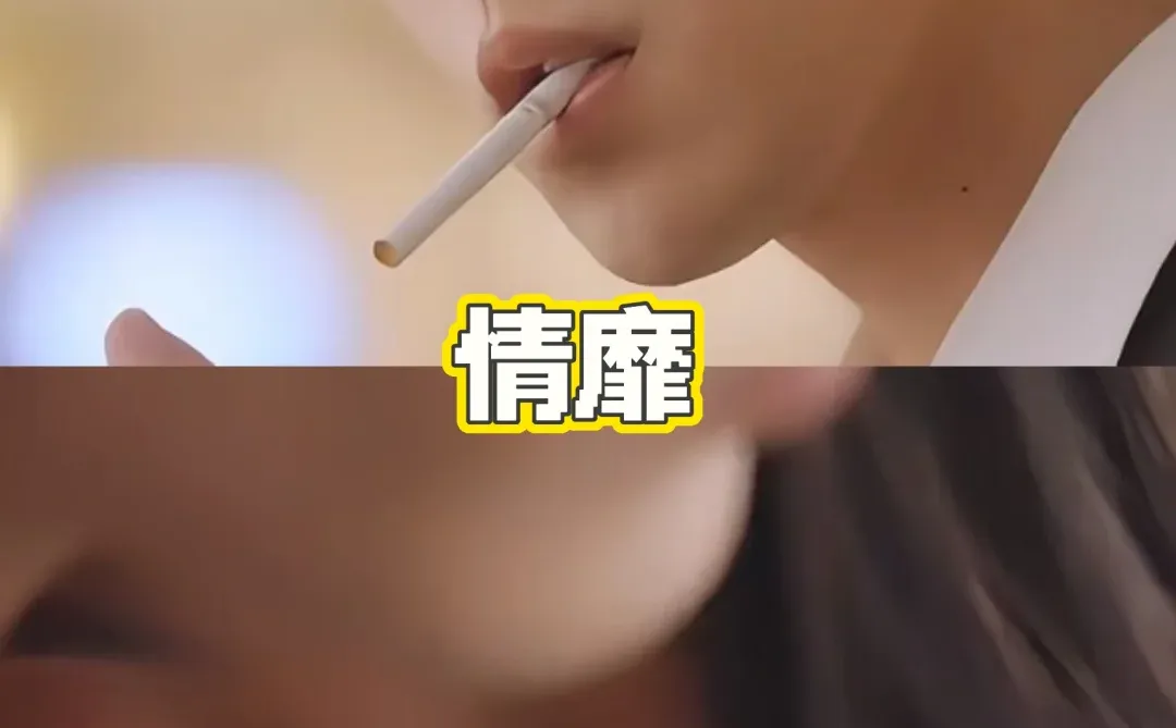 ❗五月必看短剧系列