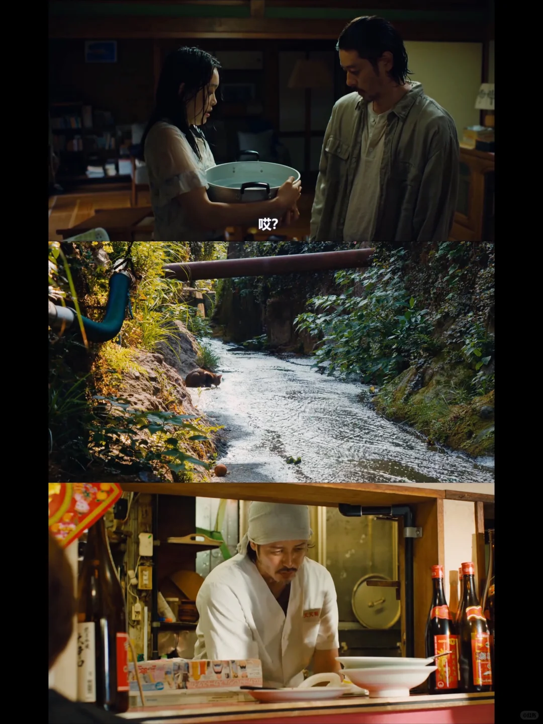 被《夏日沙上》的后劲创飞了！