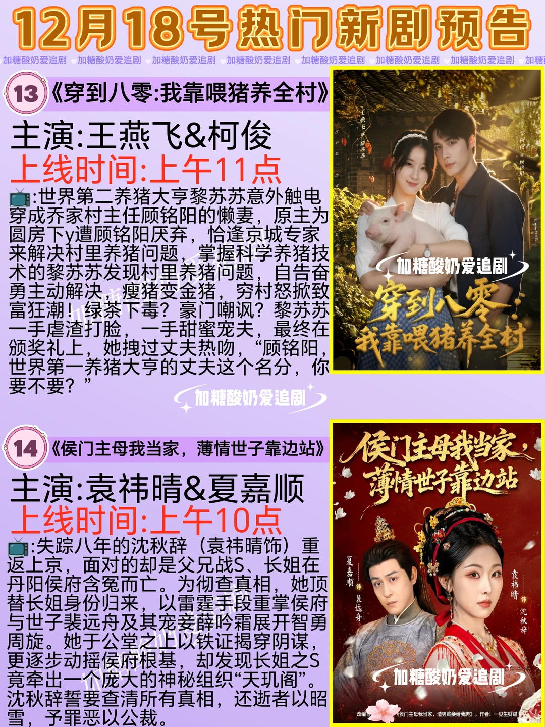 天花板短剧💥12月18日热门短剧预告