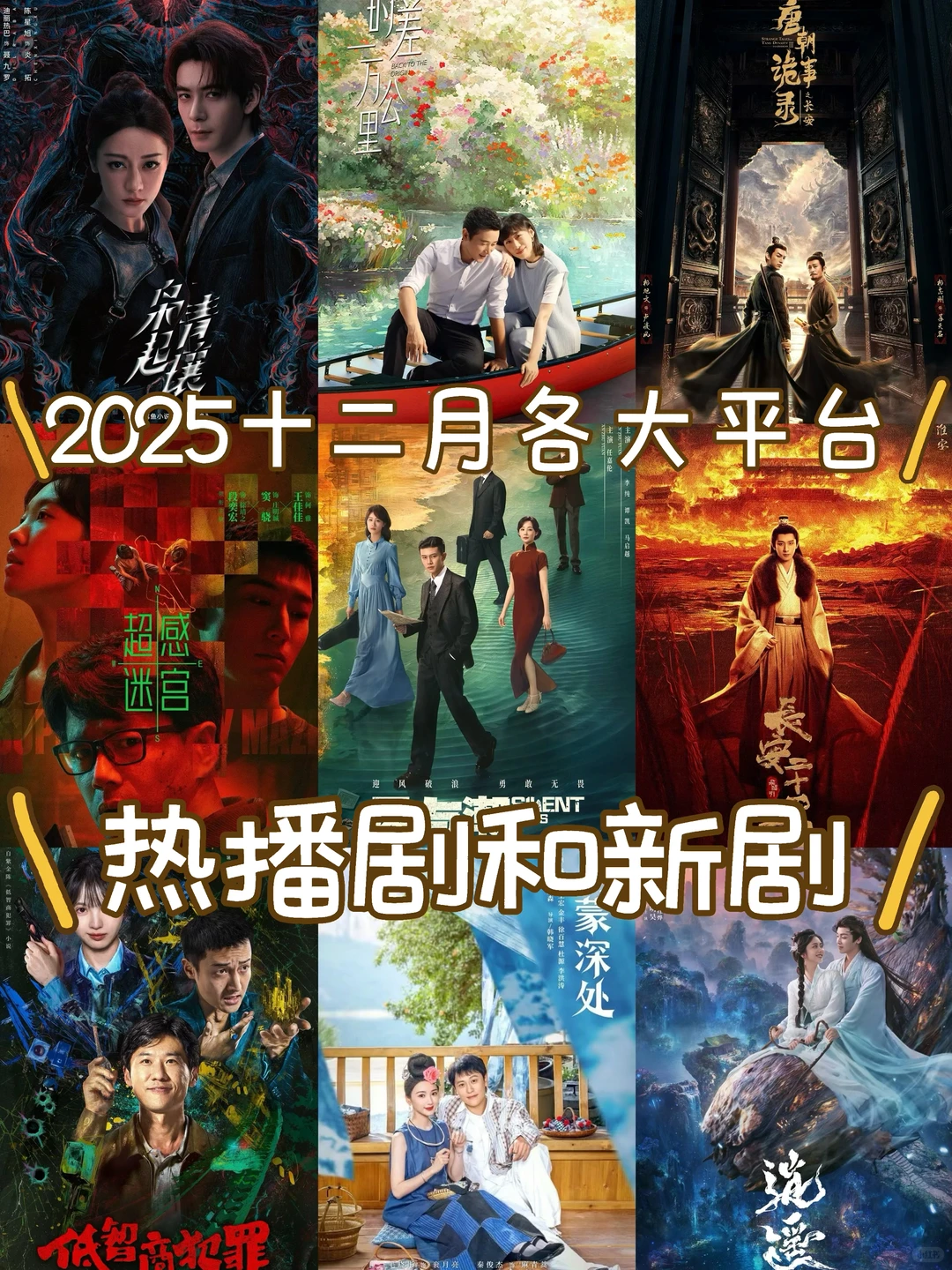 🎬2025十二月各大平台热播剧和待播剧