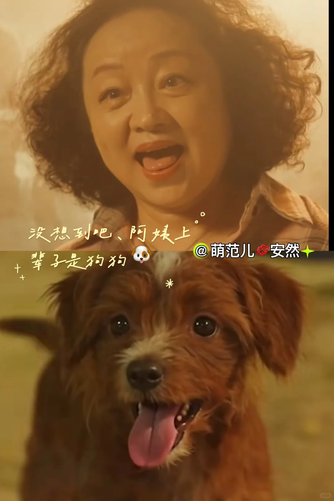 起猛了，我磕的恋综CP拍短剧了