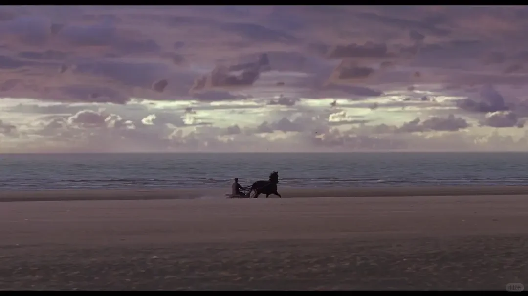 同一个导演的两部神作｜好爱这部电影❗️❗️