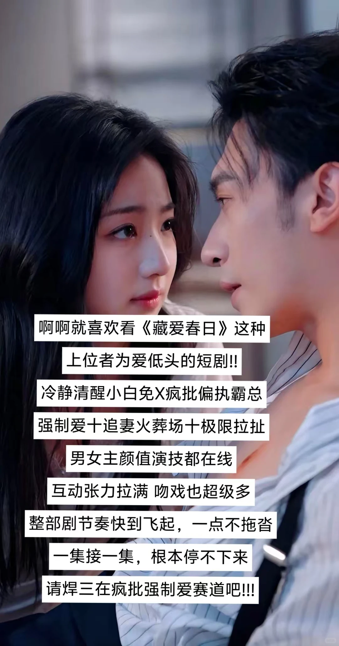 2025心中的短剧天花板! 谁能忍住不爱！！！