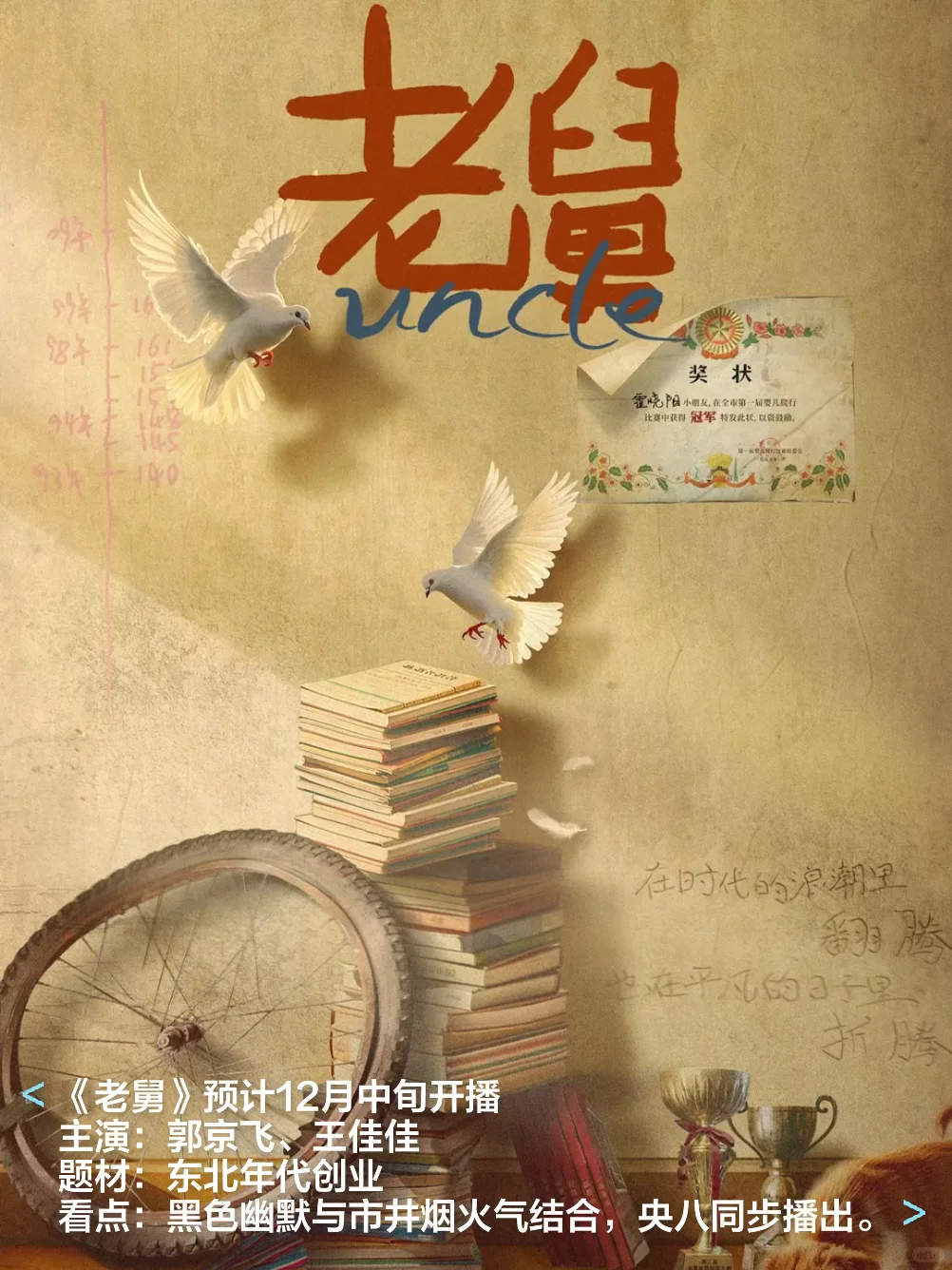 🎬2025十二月各大平台热播剧和待播剧