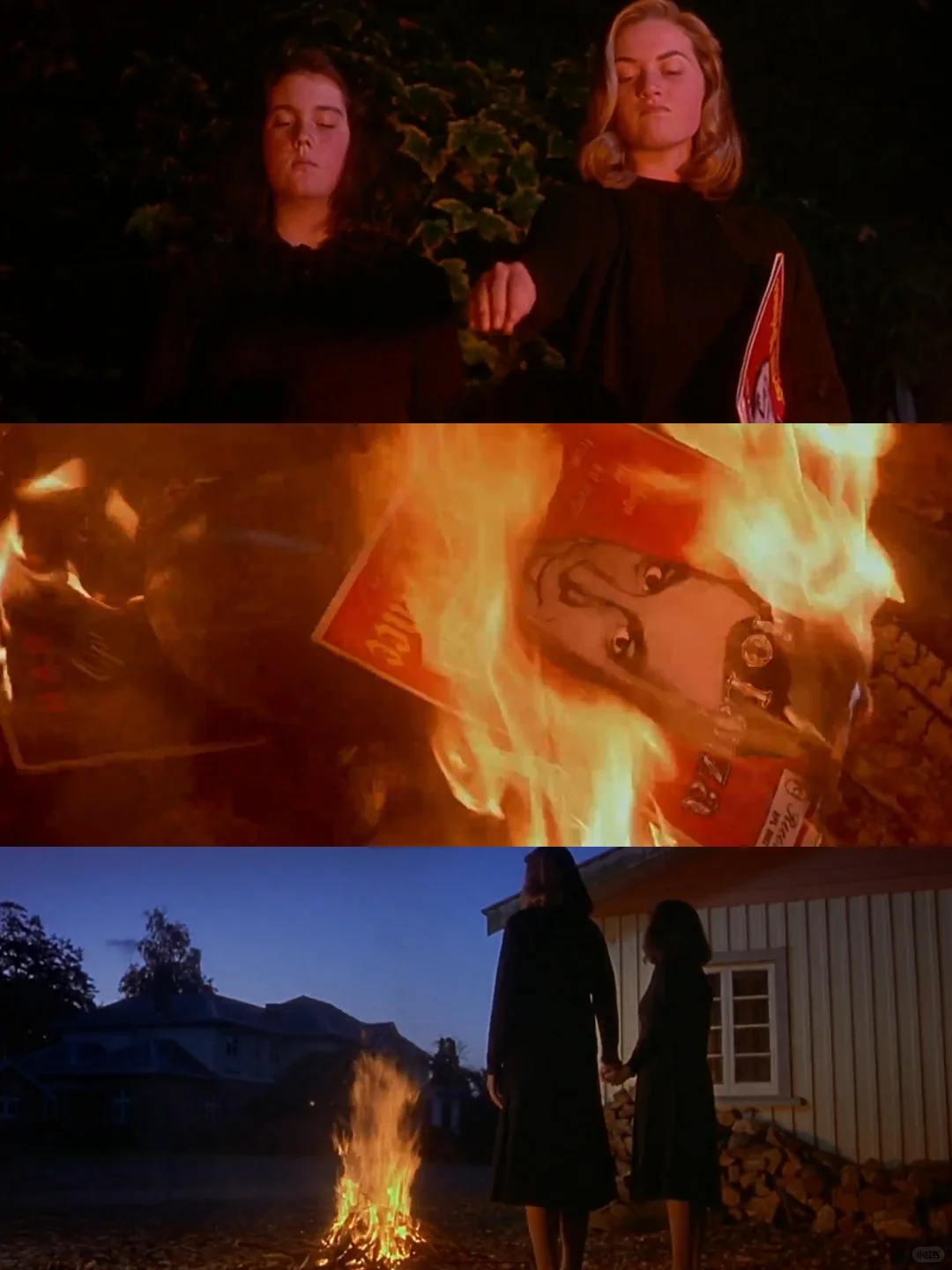 🎥冷门少女电影|偏执幻想与现实暴烈罪孽