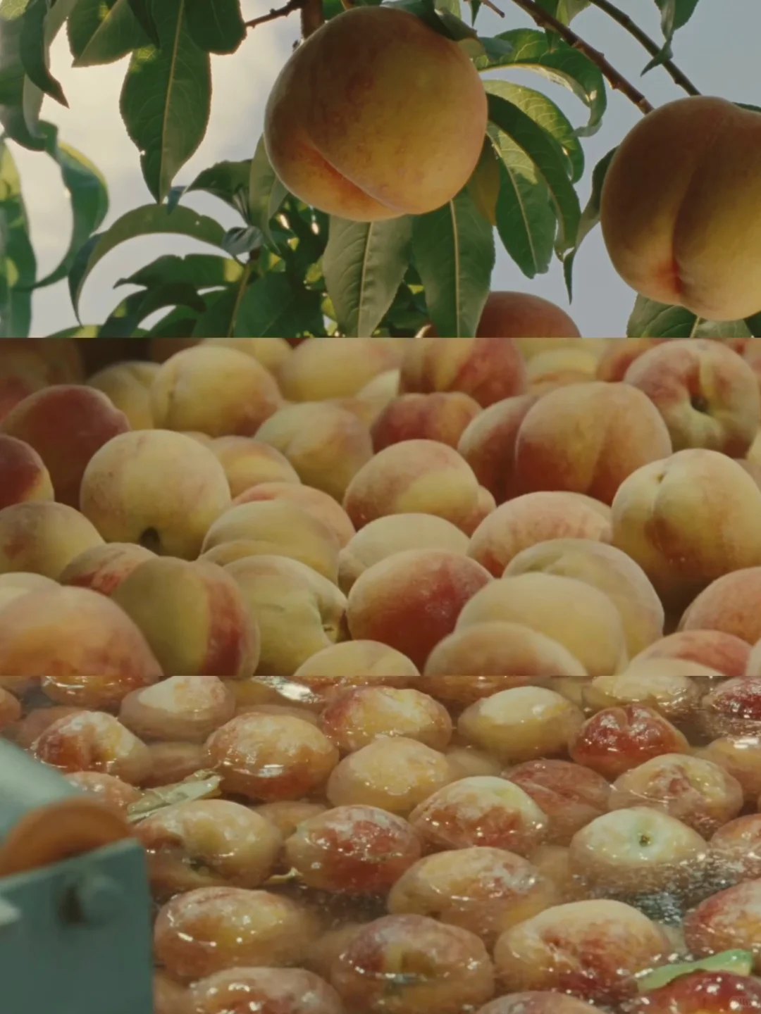 后劲好大😭看完这部电影与自己释怀了!