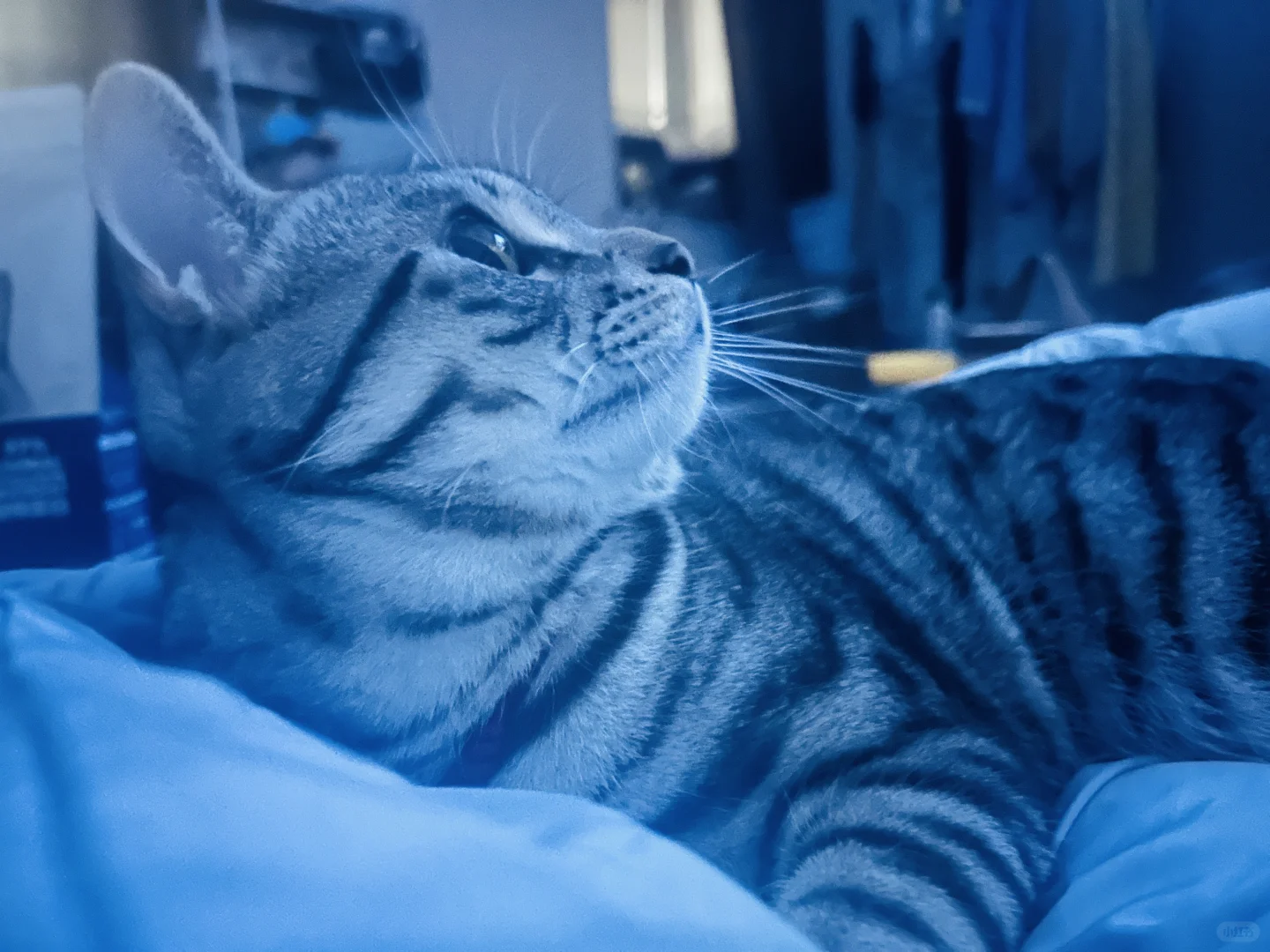 剧荒的日子是靠刷电影度过的