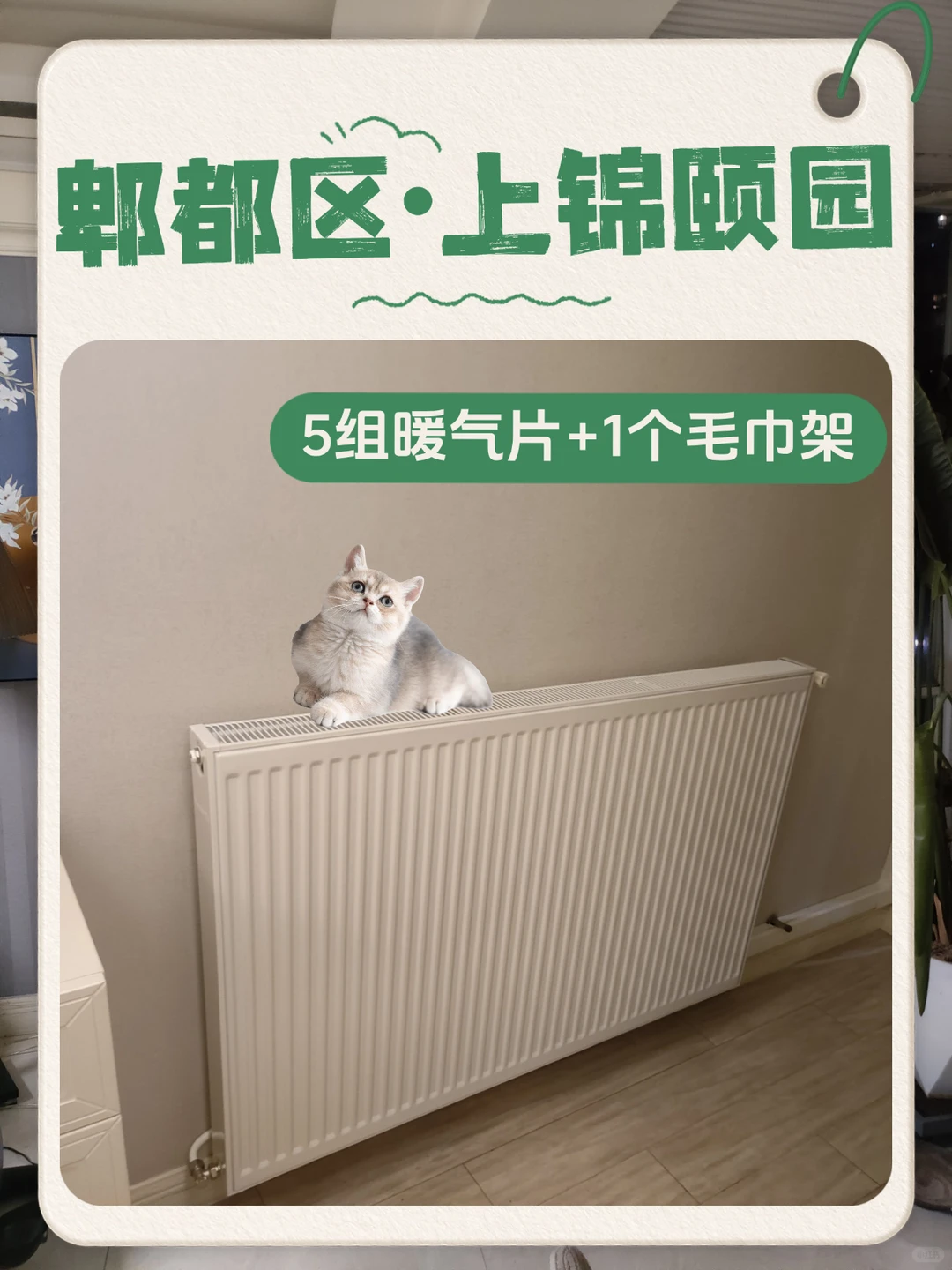 📺短剧：霸道猫咪🐈爱上暖气片