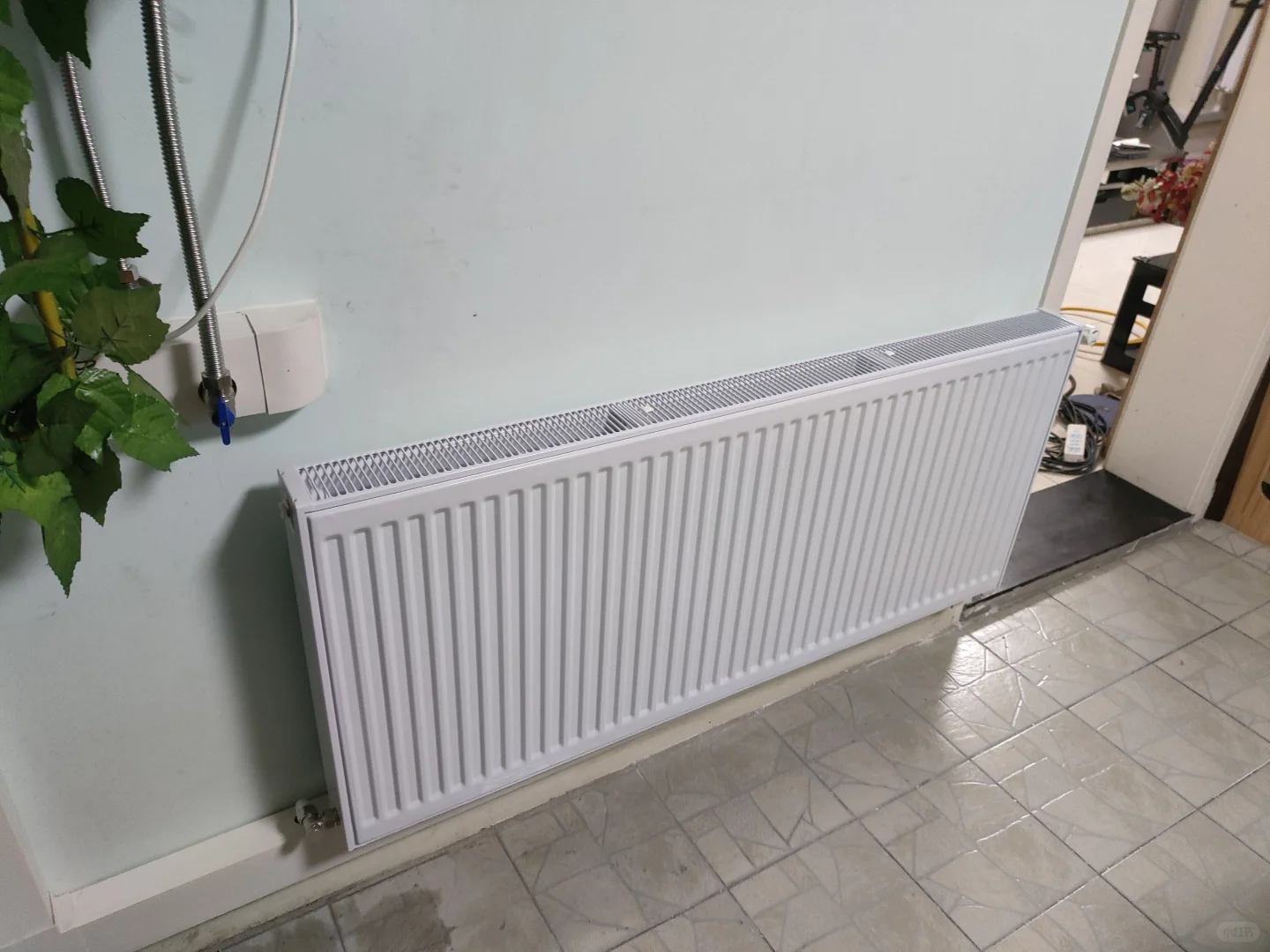 📺短剧：霸道猫咪🐈爱上暖气片