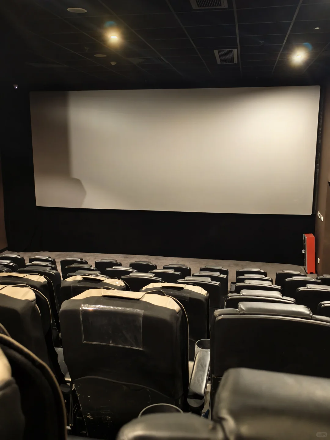 疯狂动物城2 | 这也太好了吧这也太好了吧