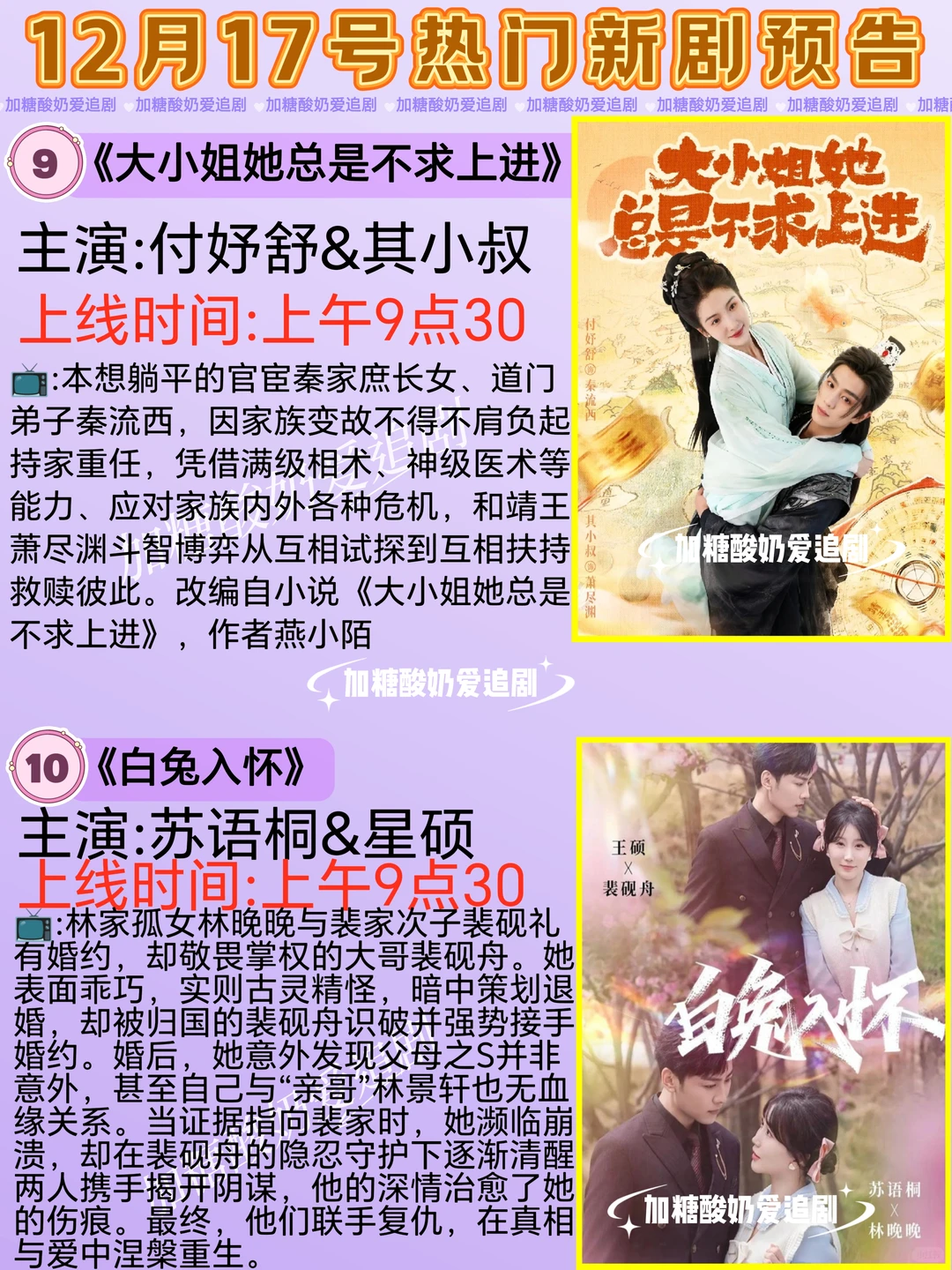 天花板短剧💥12月17日热门短剧预告