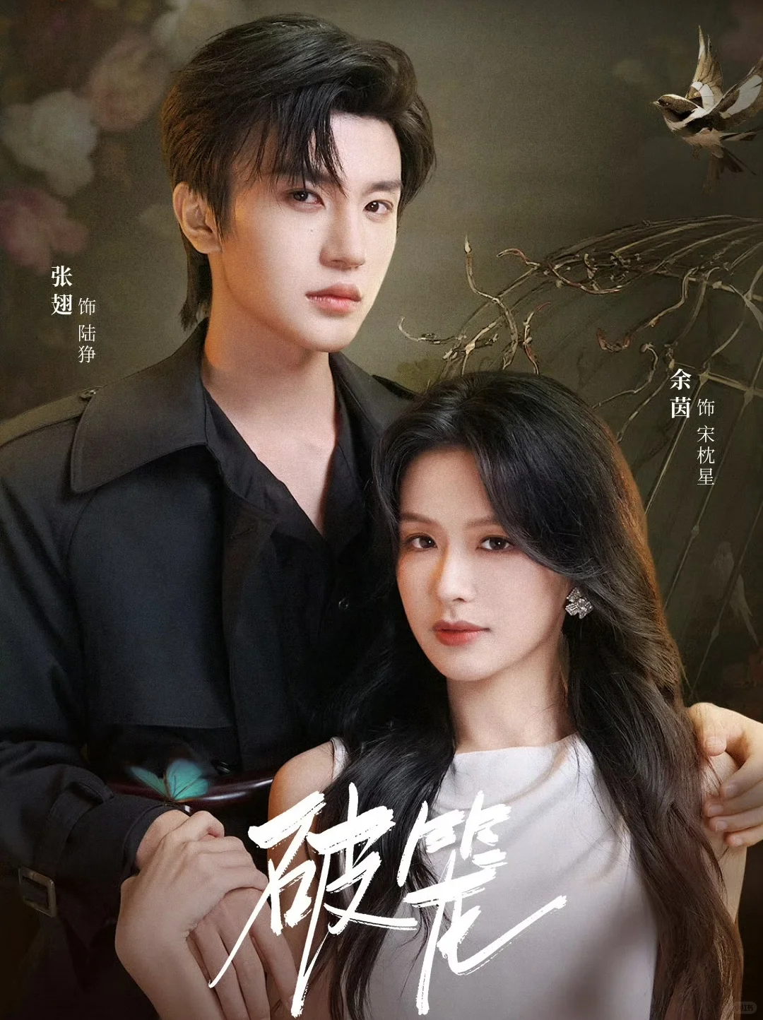 12月18日短剧预告❤️张翅 林枫松上新🥳