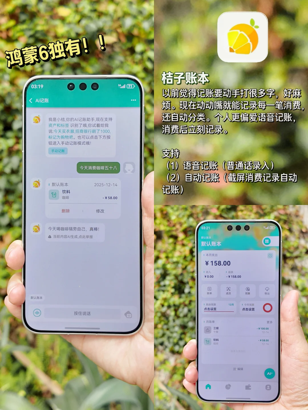 鸿蒙6越用越香!6个出境游都好用App推荐