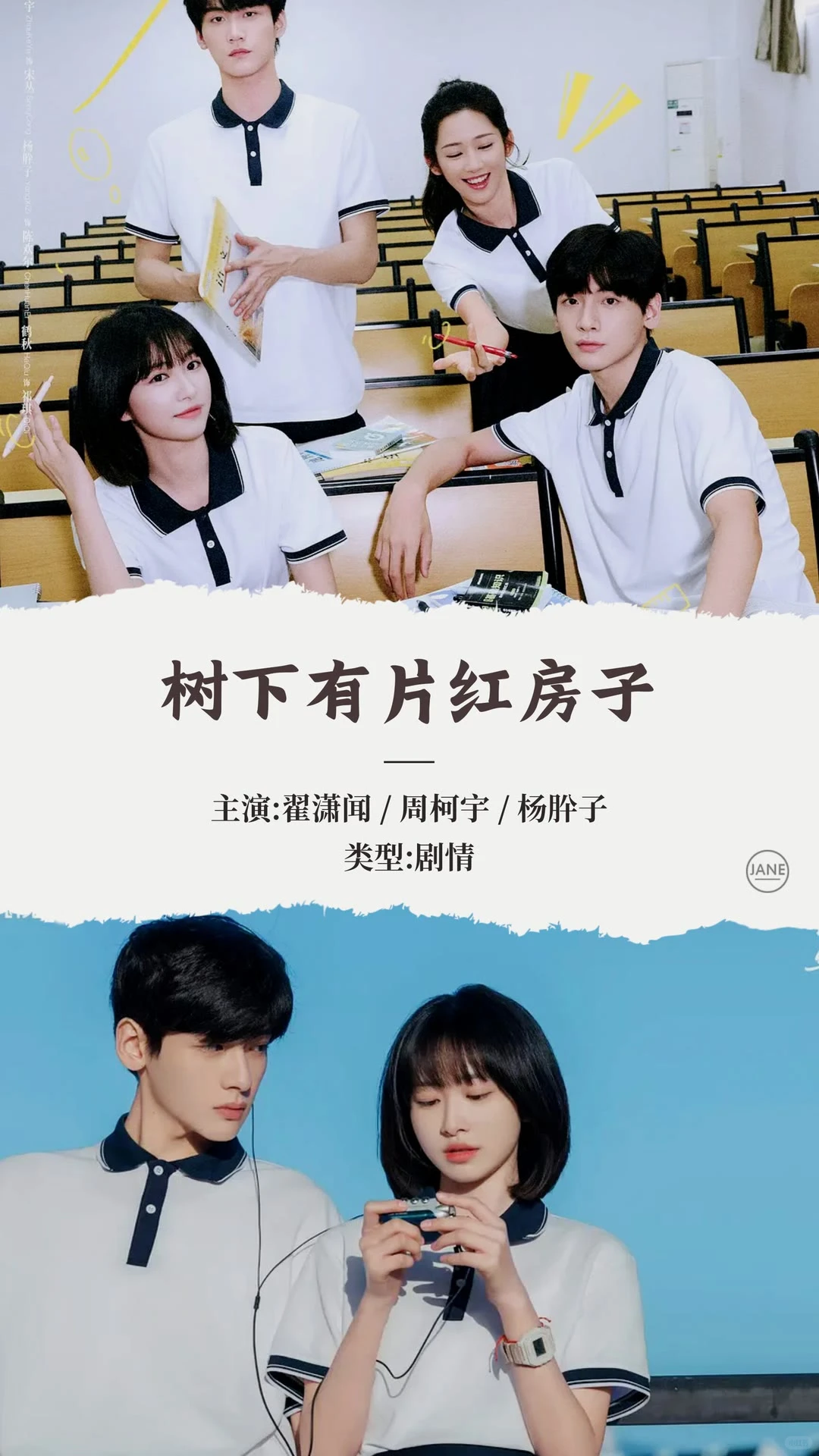 2025年3月热播电视剧推荐