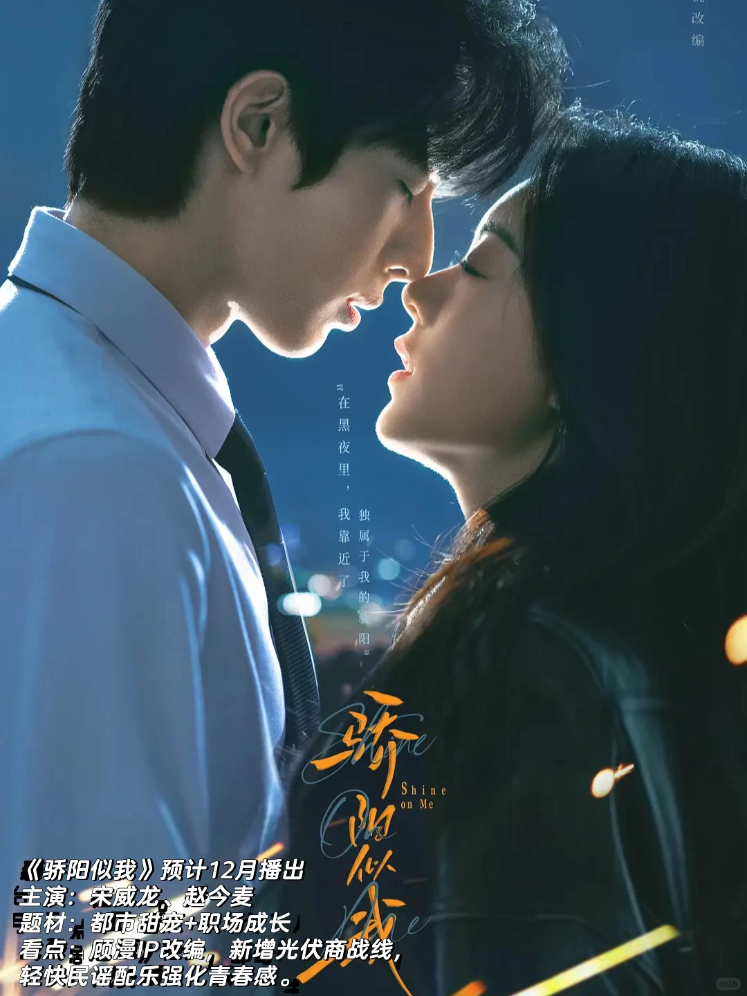 🎬2025十二月各大平台热播剧和待播剧