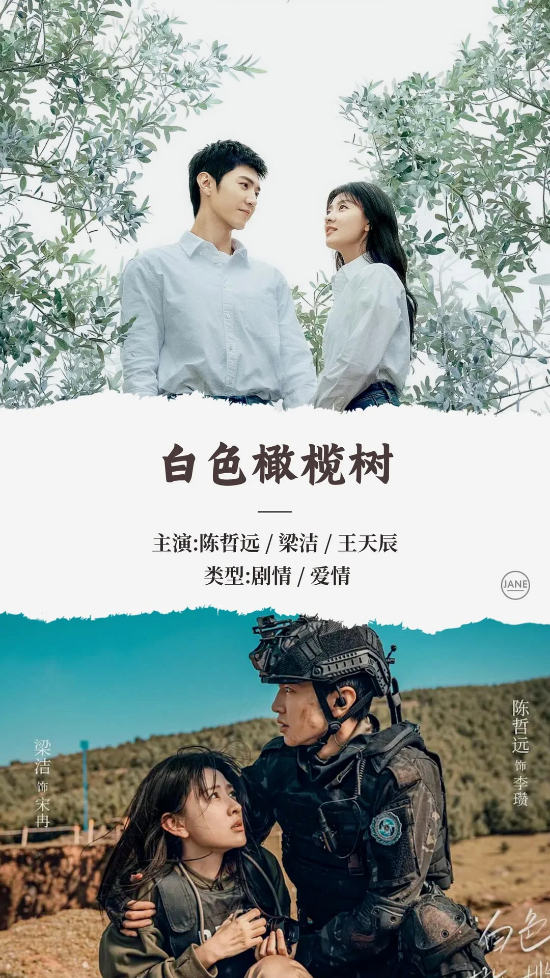 2025年3月热播电视剧推荐