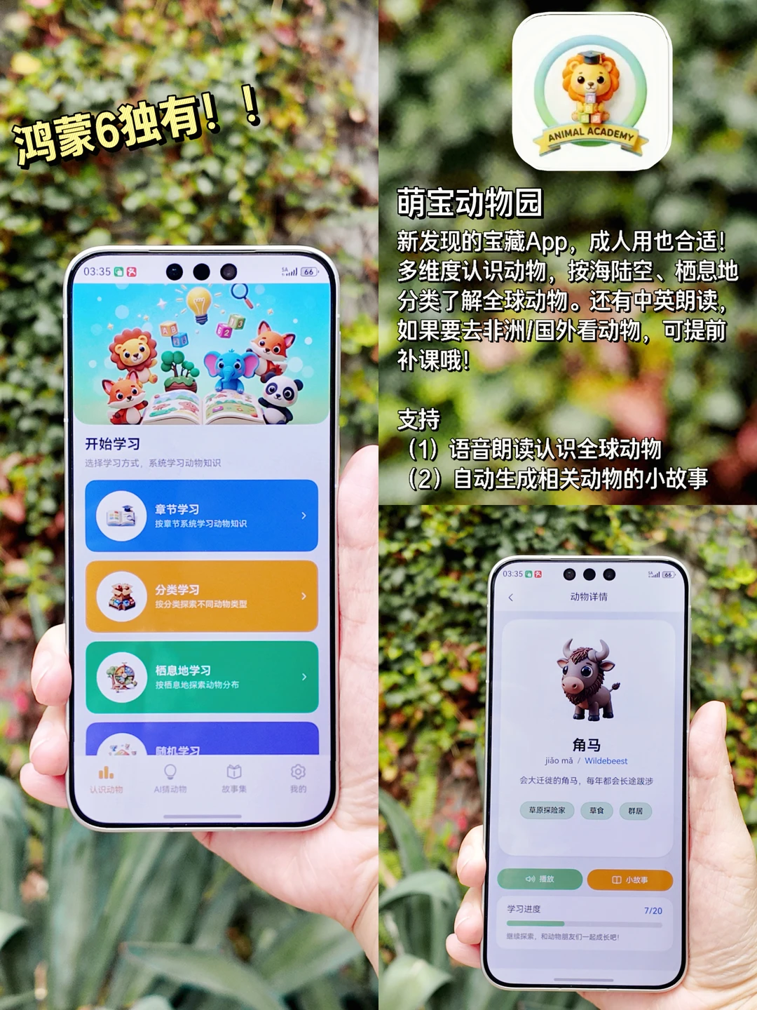 鸿蒙6越用越香!6个出境游都好用App推荐