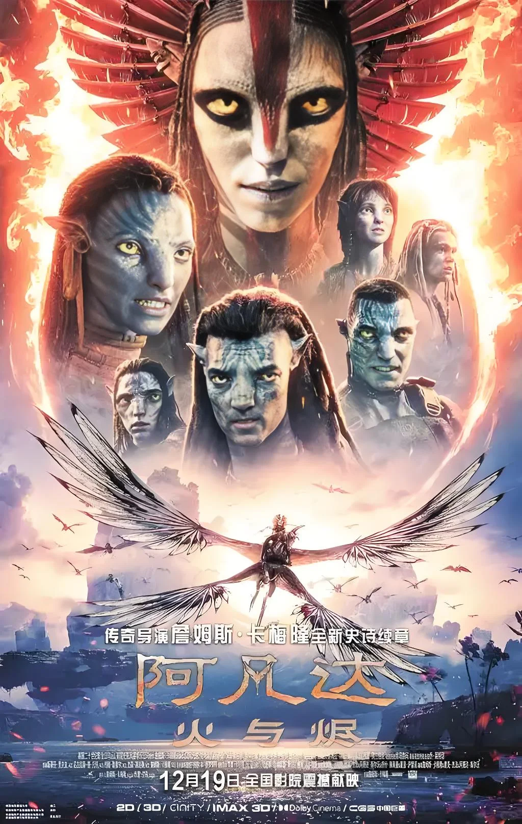 求贵溪电影搭子