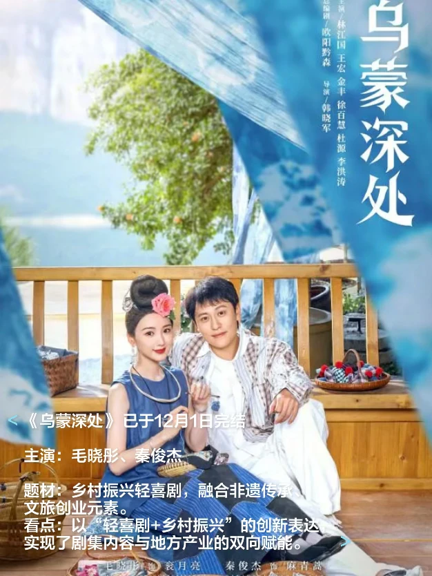 🎬2025十二月各大平台热播剧和待播剧