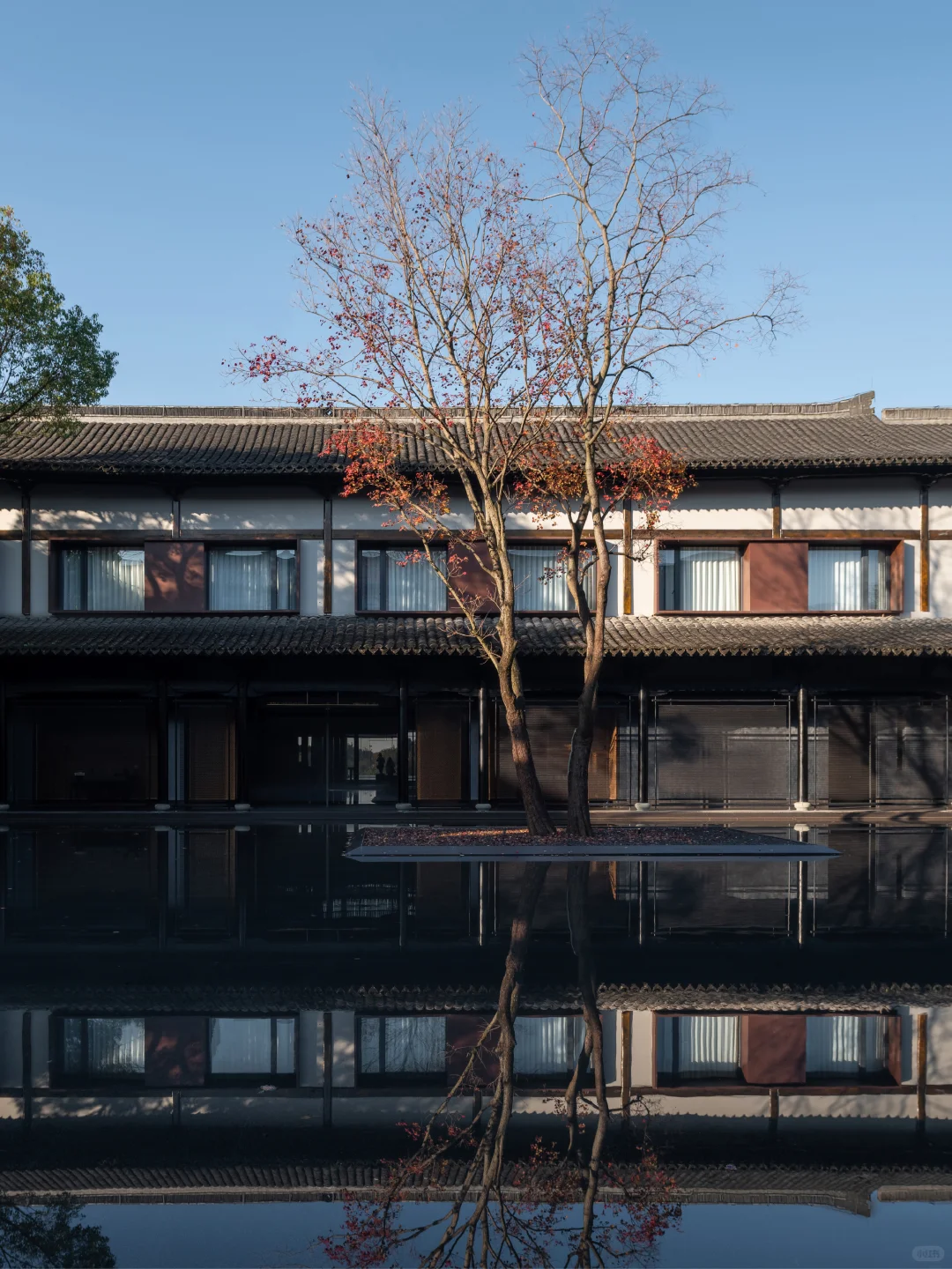 刘萧旭最新短剧曝光|同款机位原图直出📸