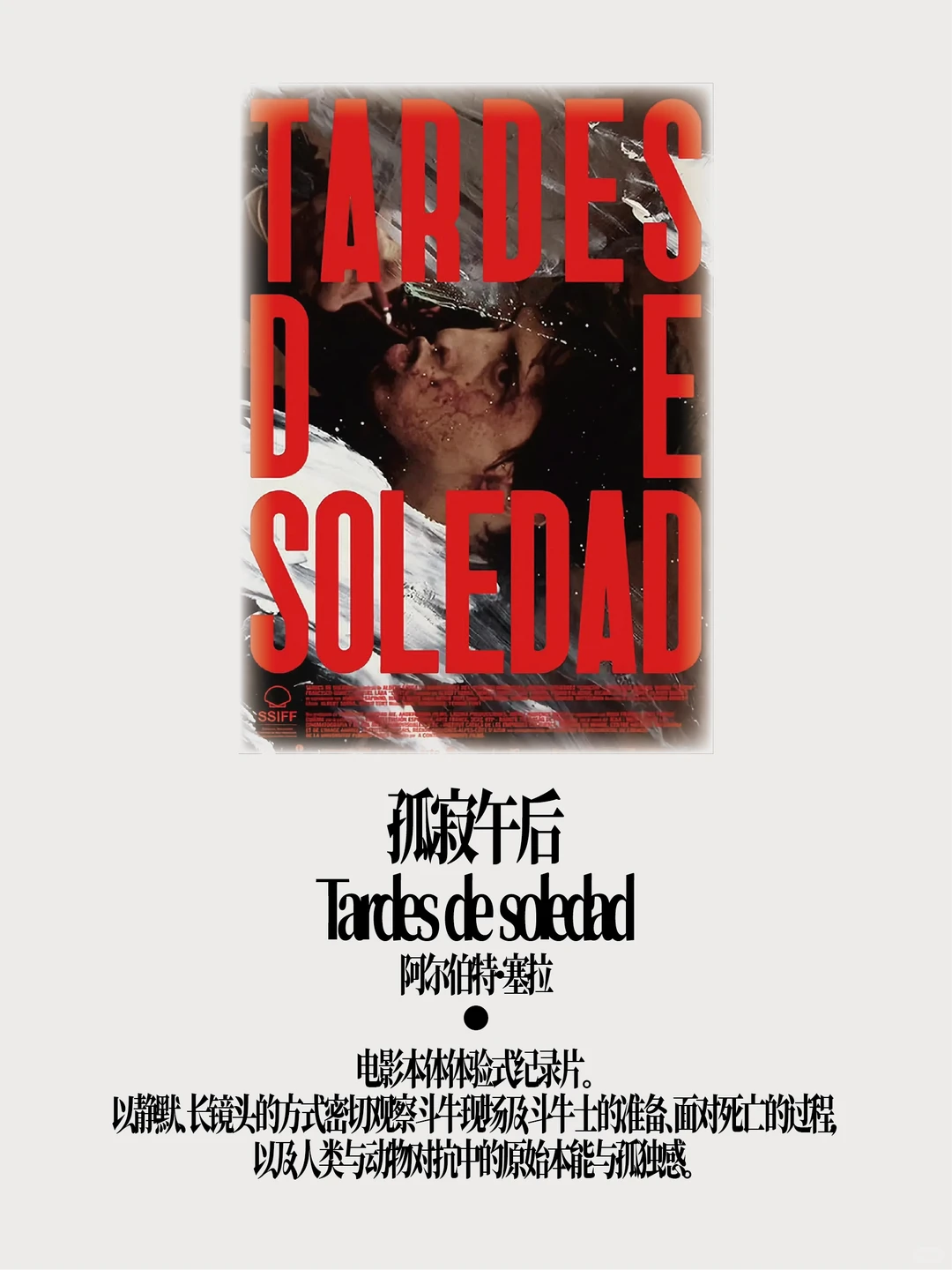 如果2025年只能看20部电影……