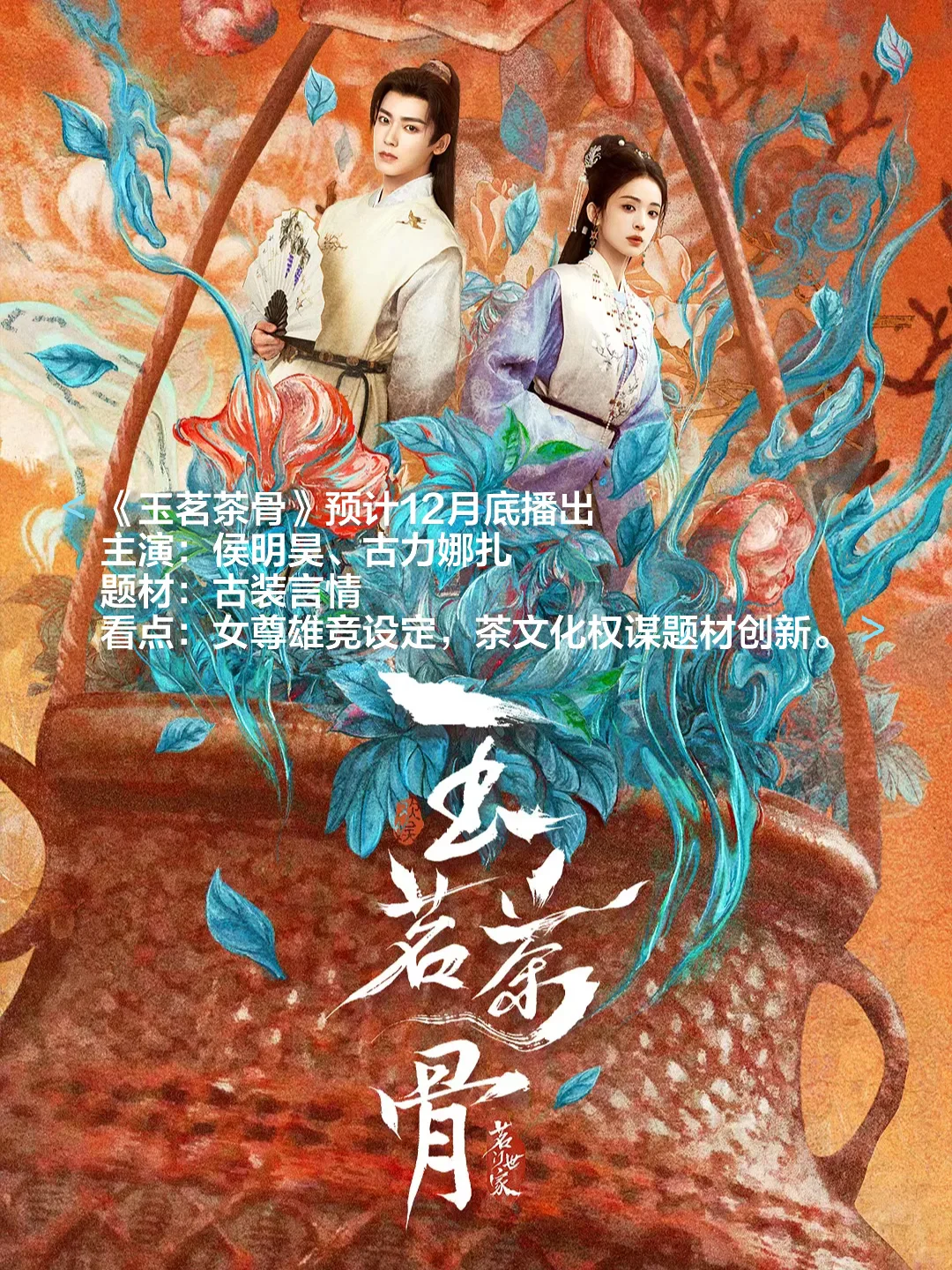 🎬2025十二月各大平台热播剧和待播剧