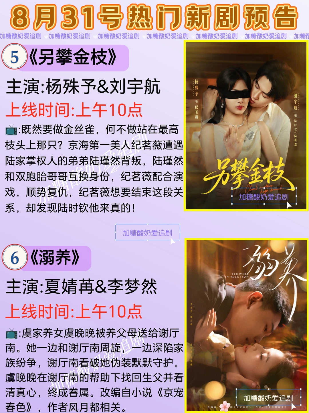 宝藏好剧💥8月31日热门短剧预告