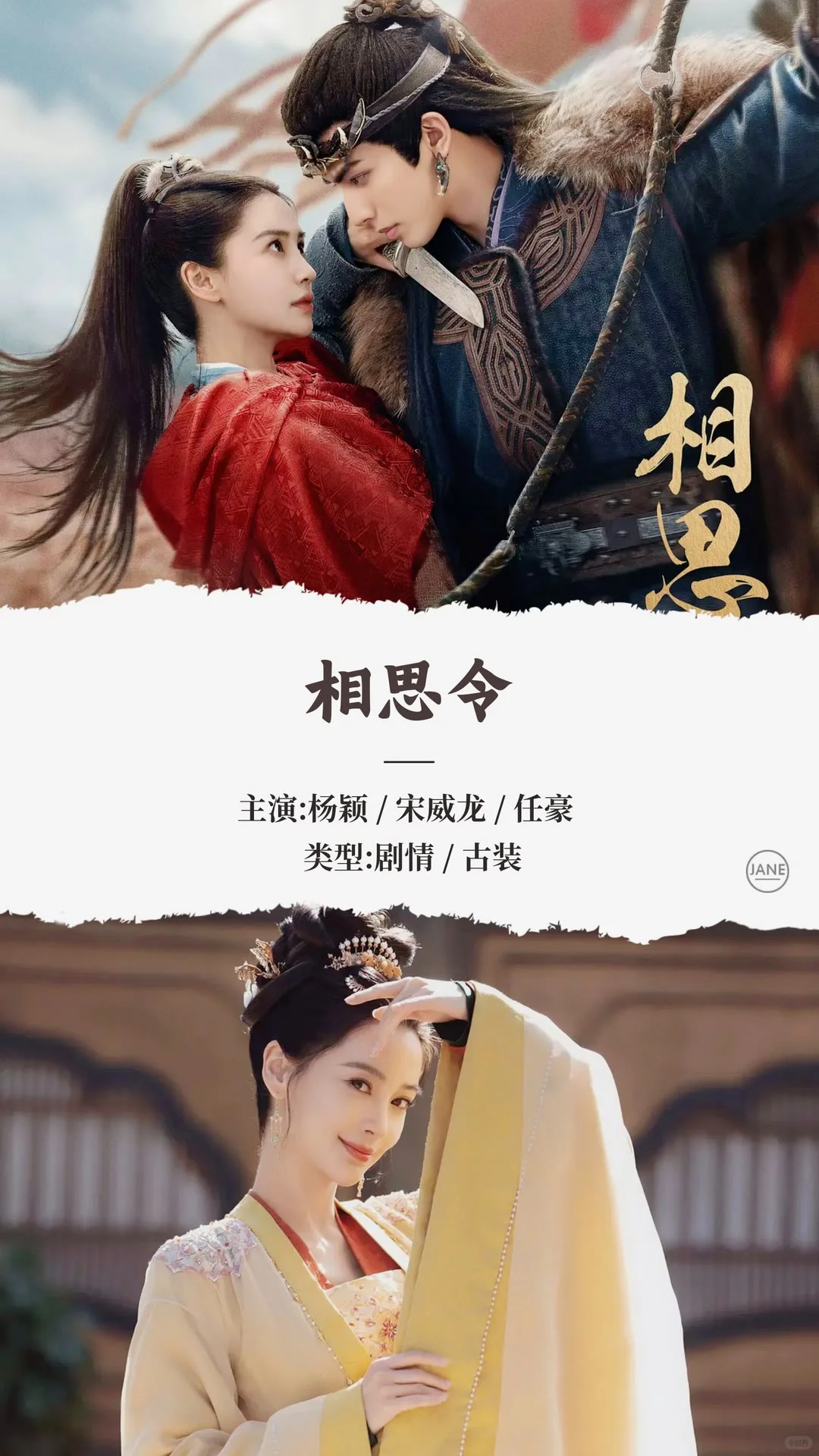 2025年3月热播电视剧推荐