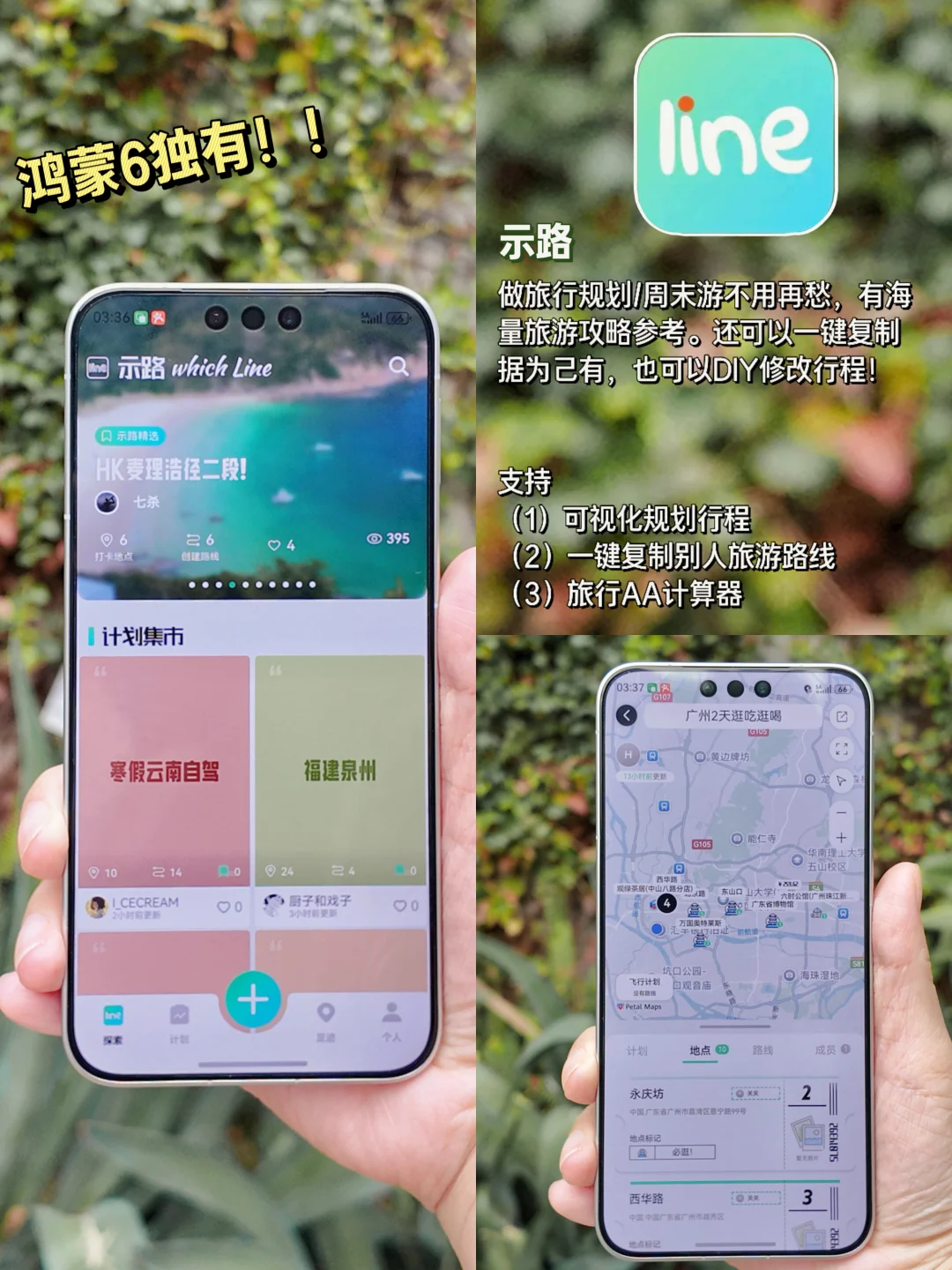 鸿蒙6越用越香!6个出境游都好用App推荐