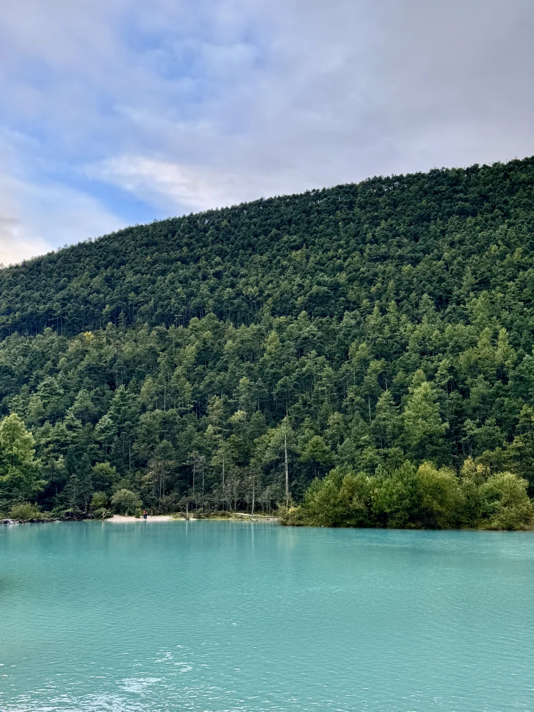 终于‼️灵光App来拯救我们P人了