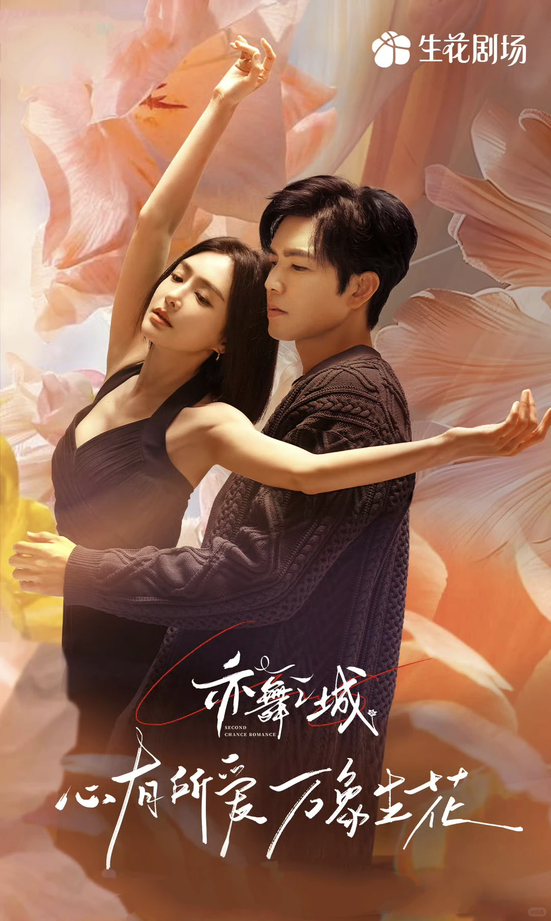 12月追剧指南:在播剧清单(上)