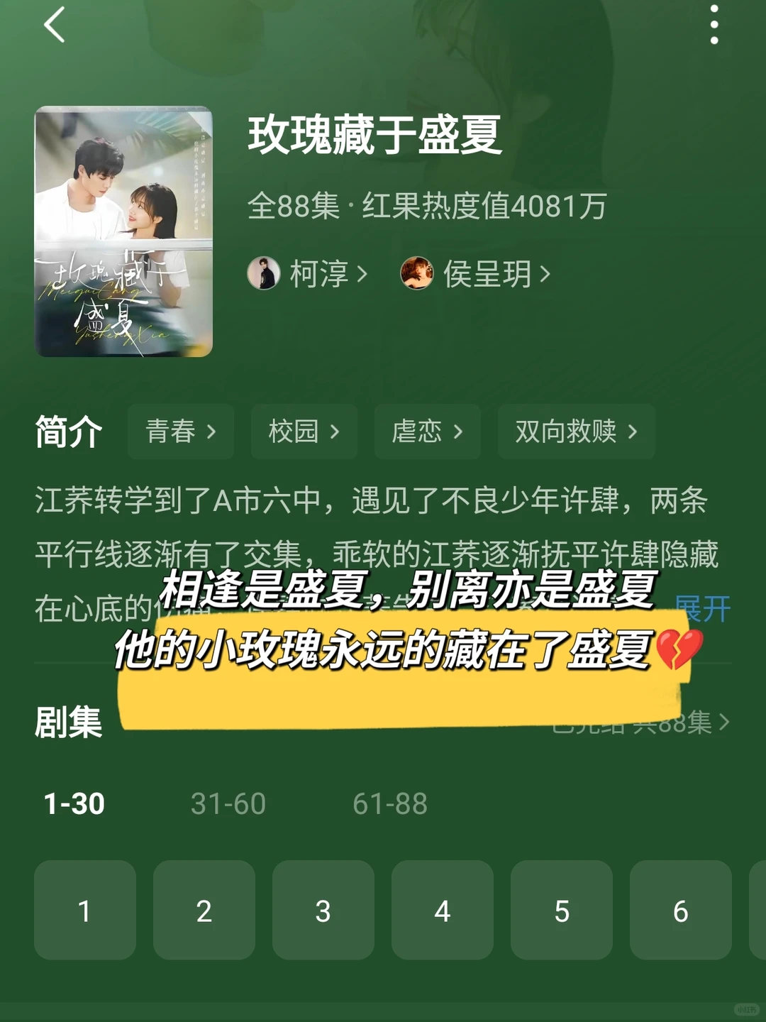 绝绝子🎶📢推荐宝藏剧!