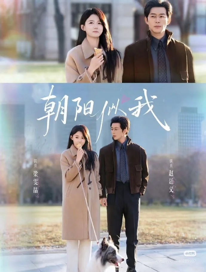 最近看的还可以的三部短剧（排名分先后）