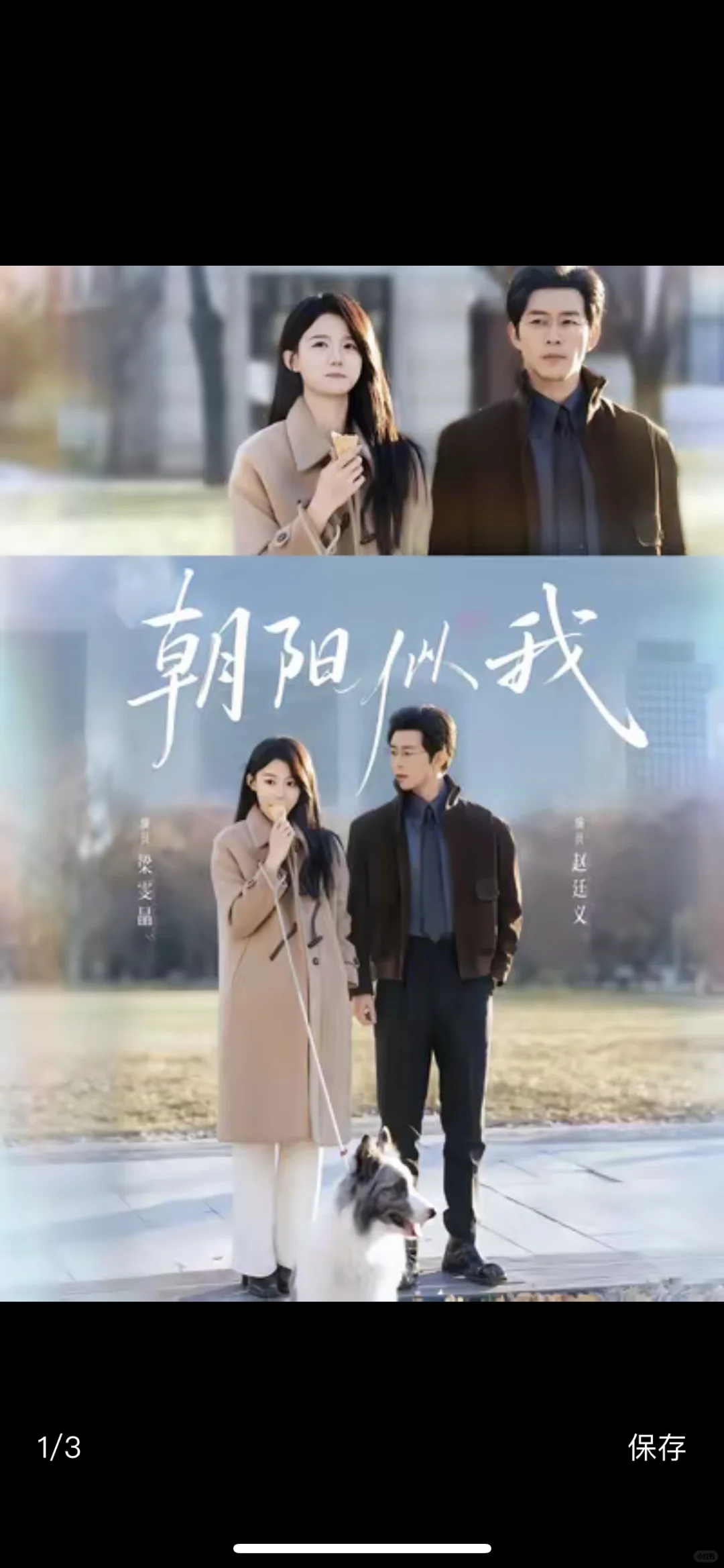 朝阳似我 真的是精品短剧