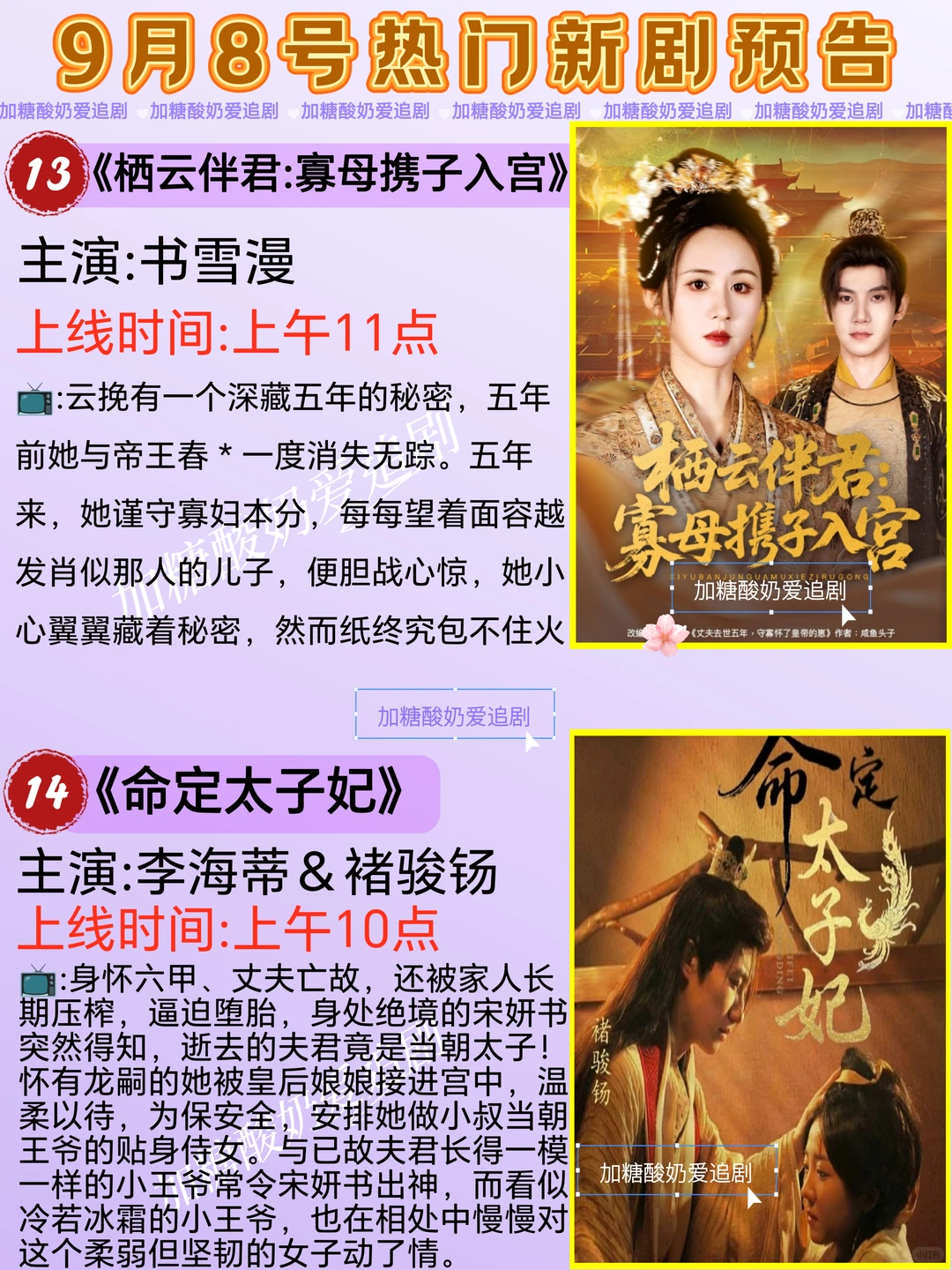 宝藏好剧💥9月8日热门短剧预告