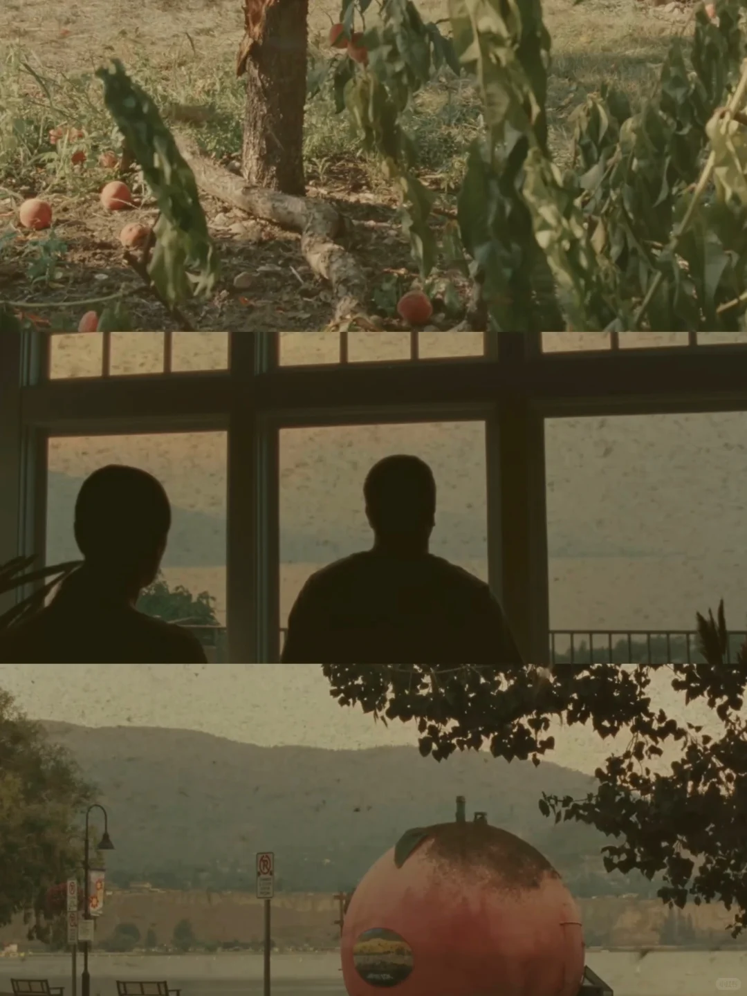 后劲好大😭看完这部电影与自己释怀了!