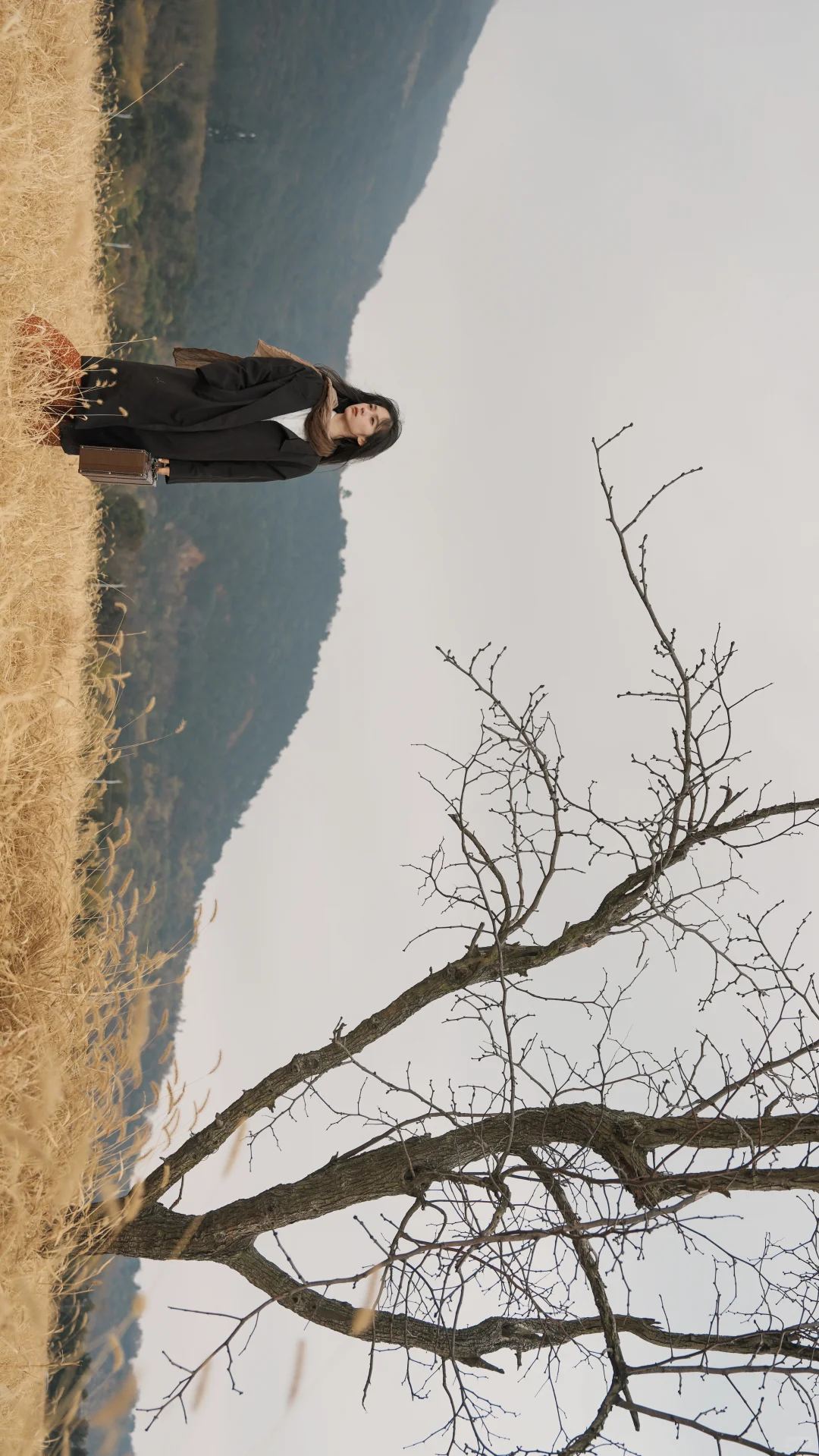 拍出电影感｜我镜头下的冬天，像一首散文诗