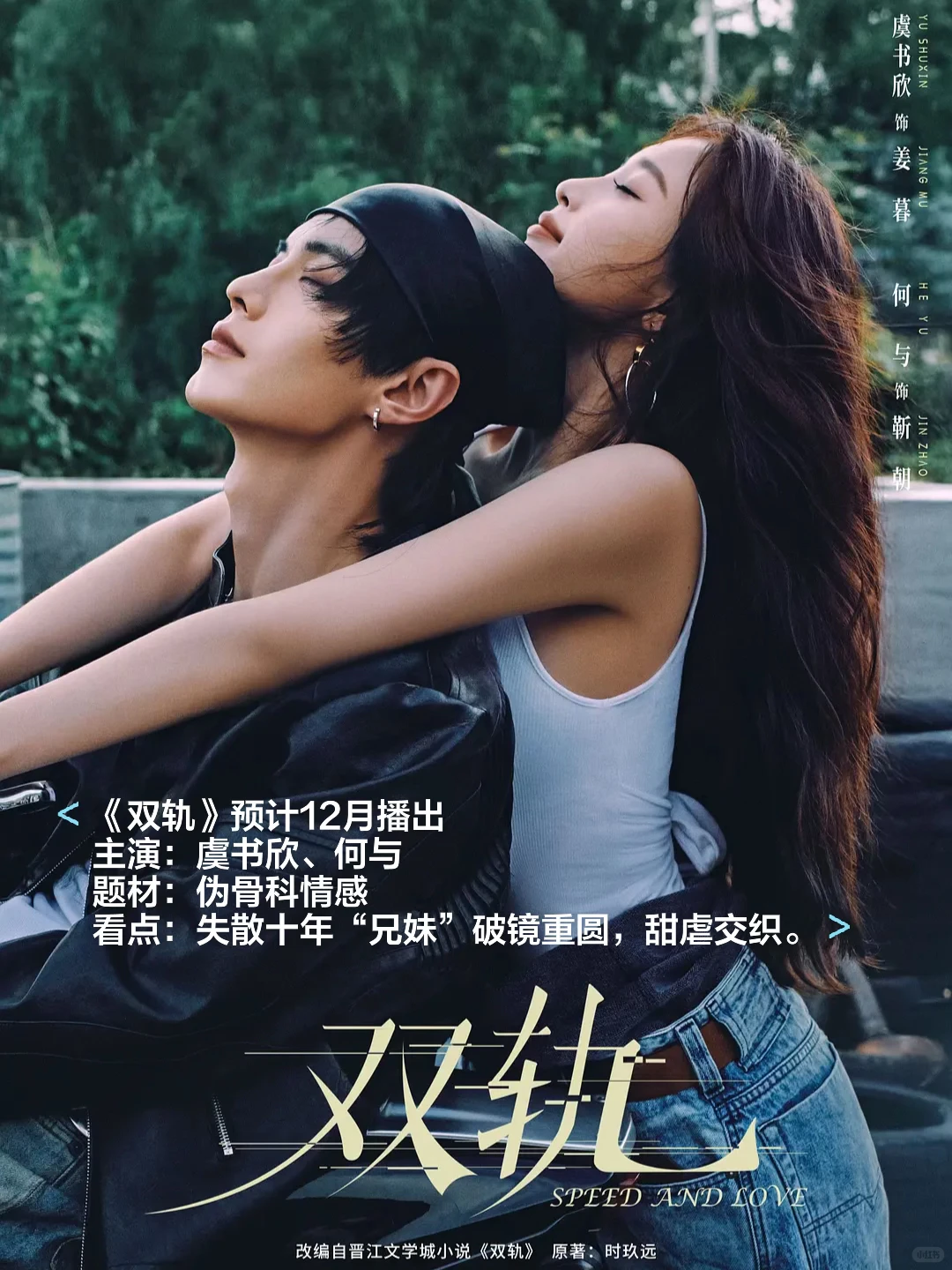 🎬2025十二月各大平台热播剧和待播剧