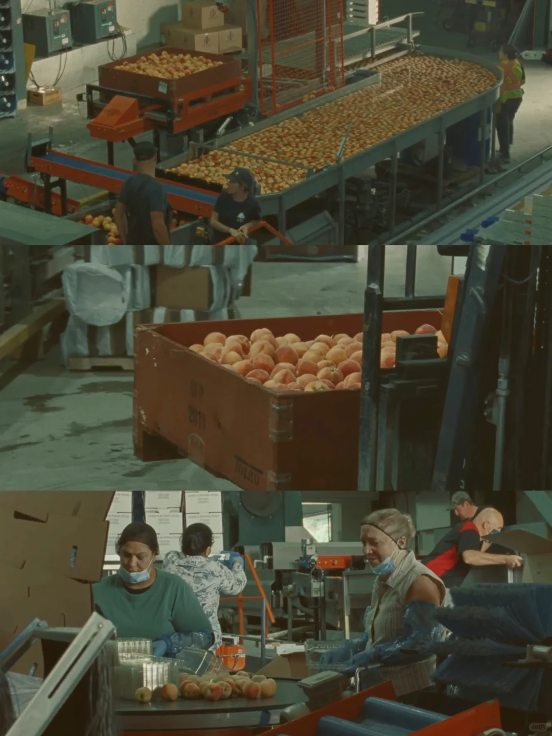 后劲好大😭看完这部电影与自己释怀了!