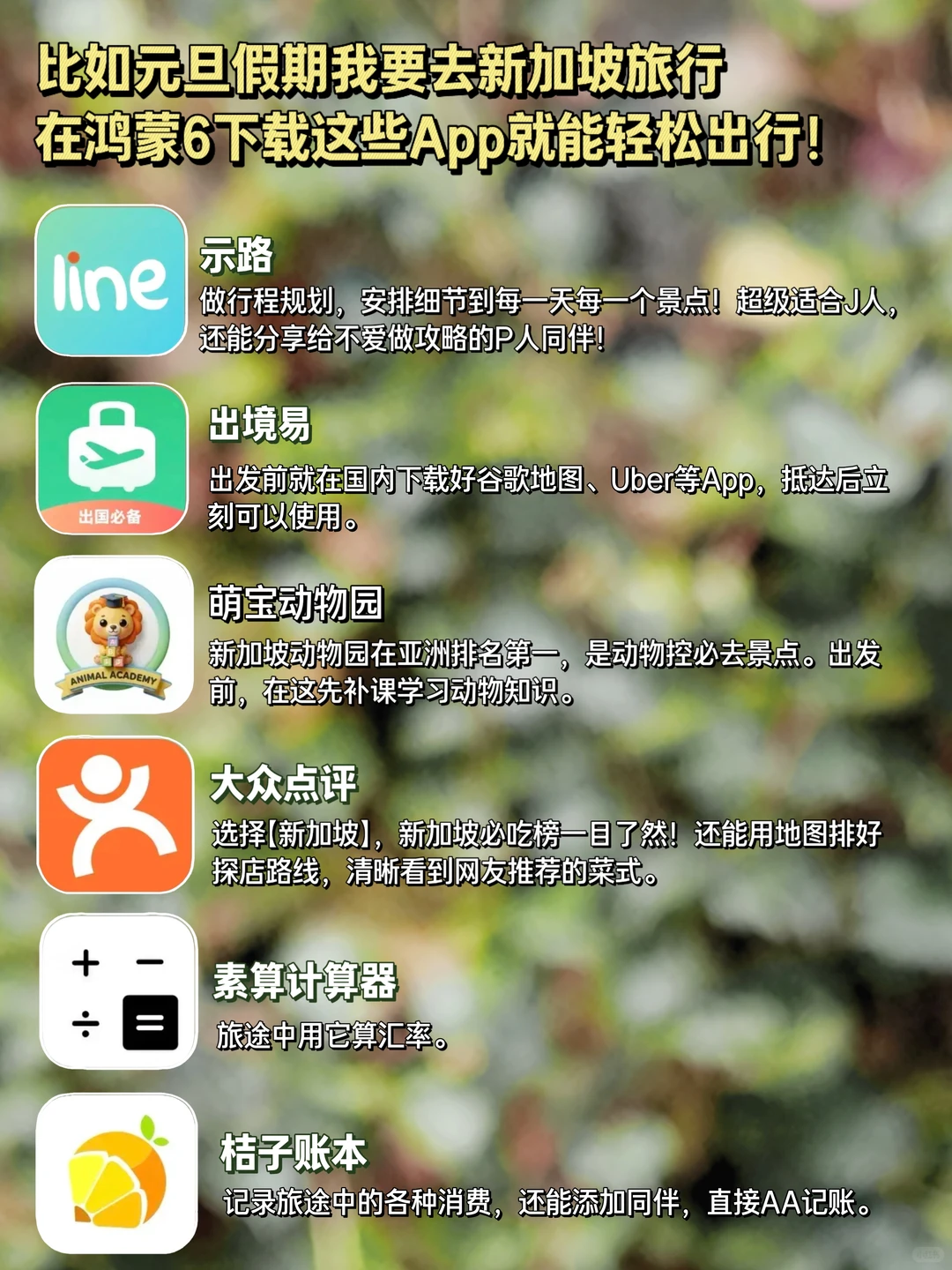 鸿蒙6越用越香!6个出境游都好用App推荐