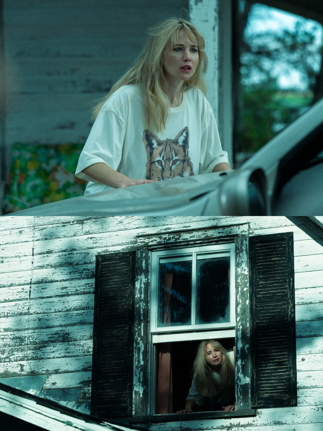 大表姐R级新片《去死吧，我的爱》今日上线❗️