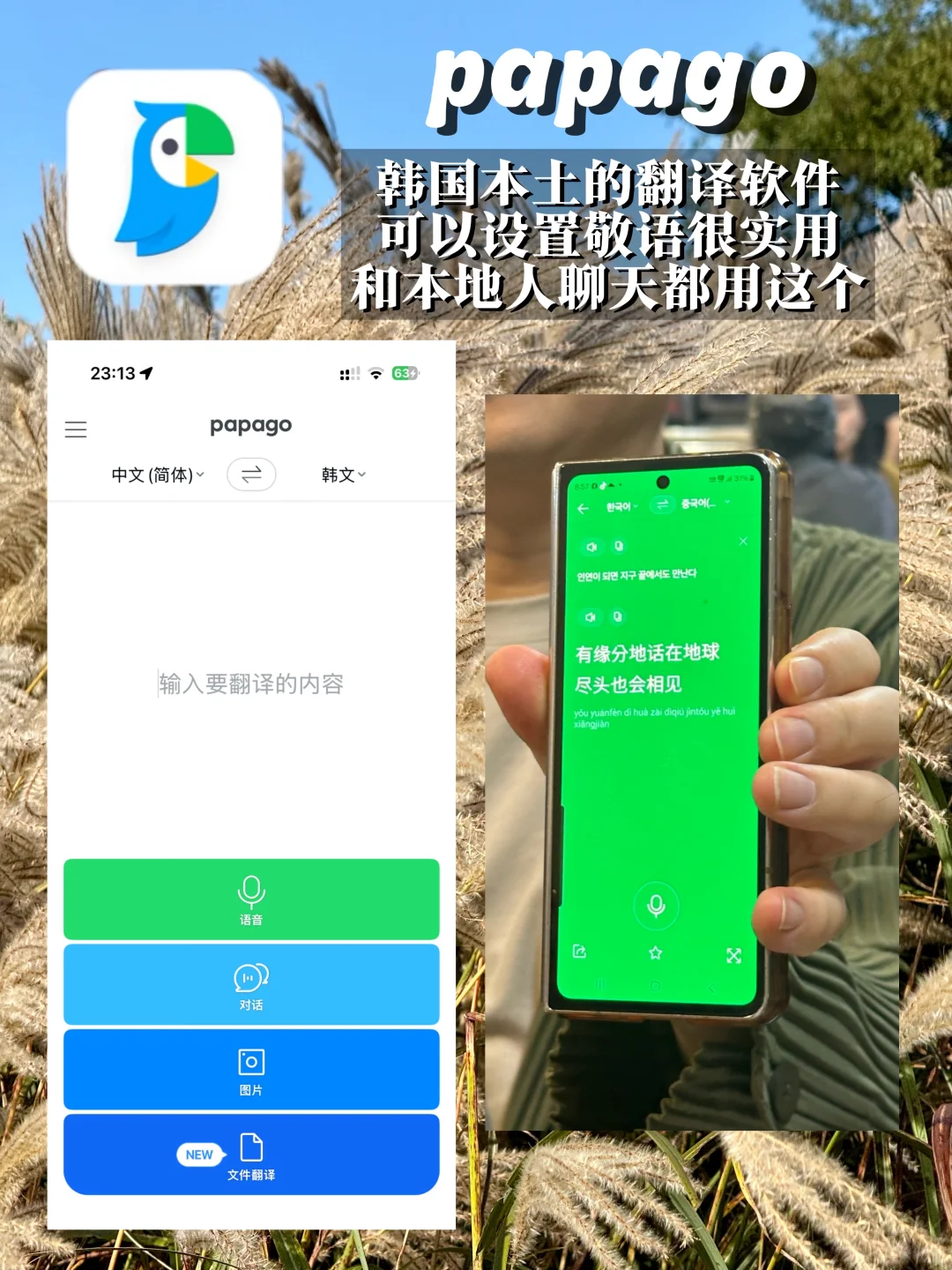 韩国自由行🇰🇷用这9个App方便到像没出国‼️