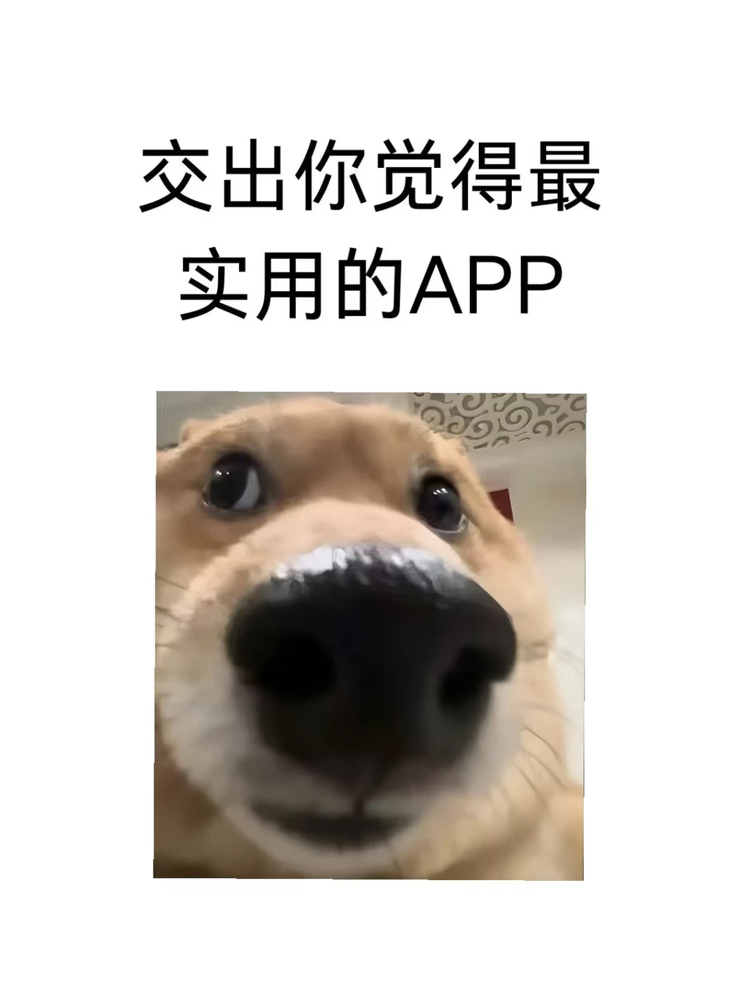 交出你最实用的app
