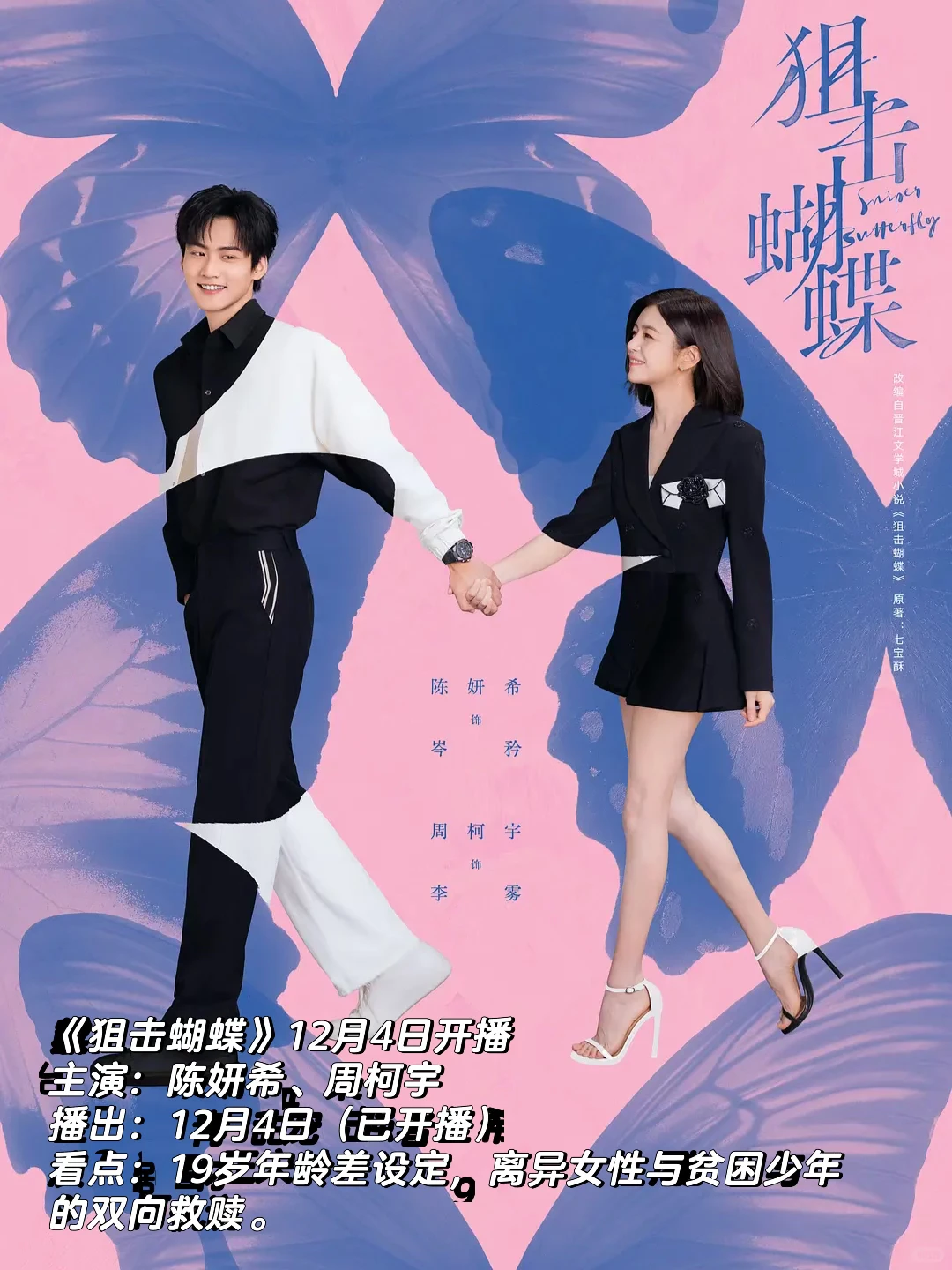 🎬2025十二月各大平台热播剧和待播剧