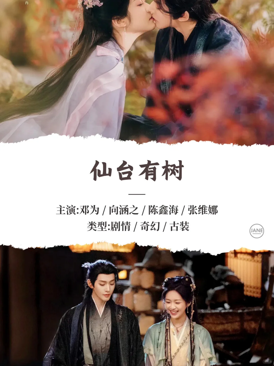 2025最火电视剧，哪一部是你心中的Top1