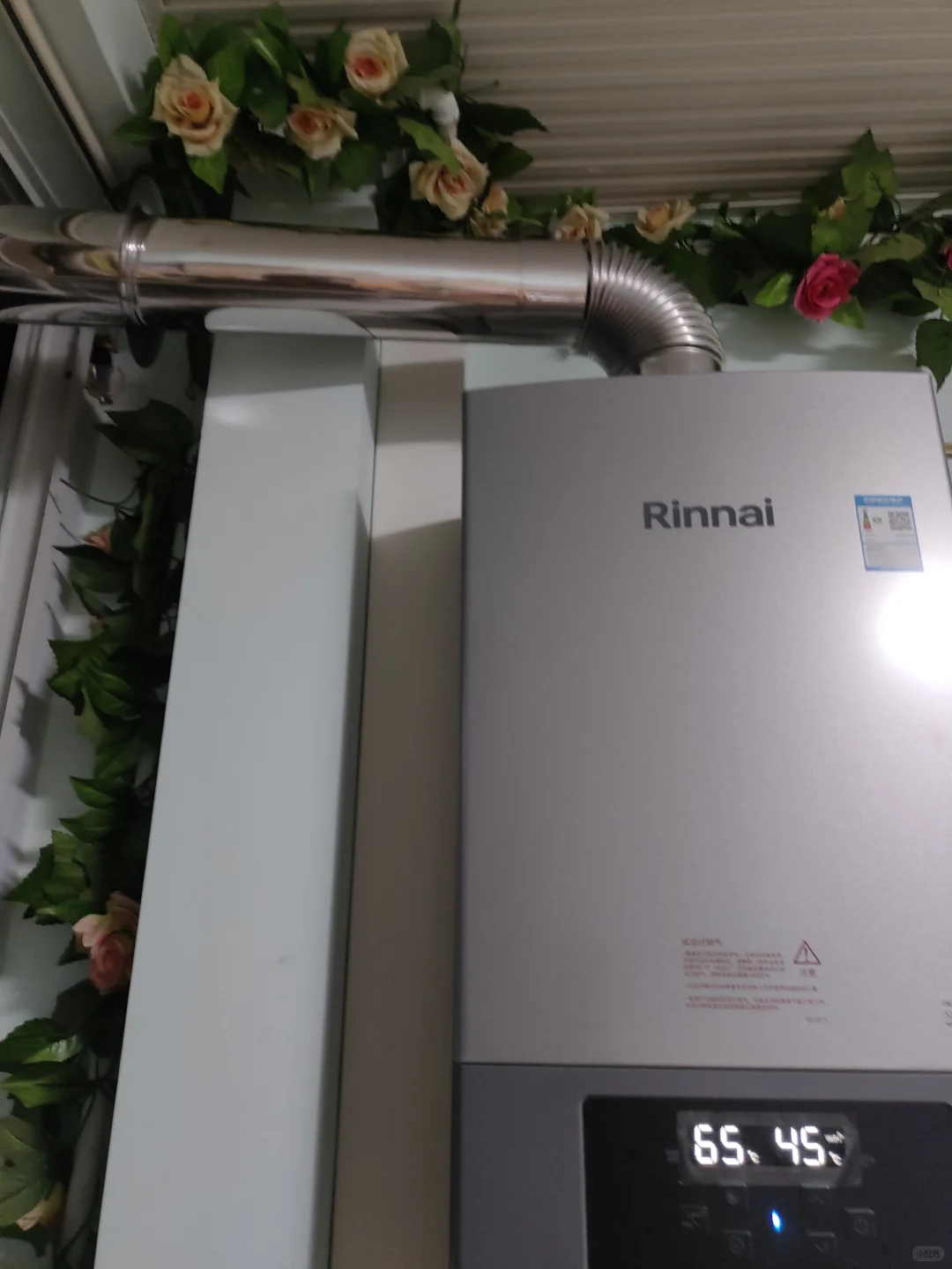 📺短剧：霸道猫咪🐈爱上暖气片