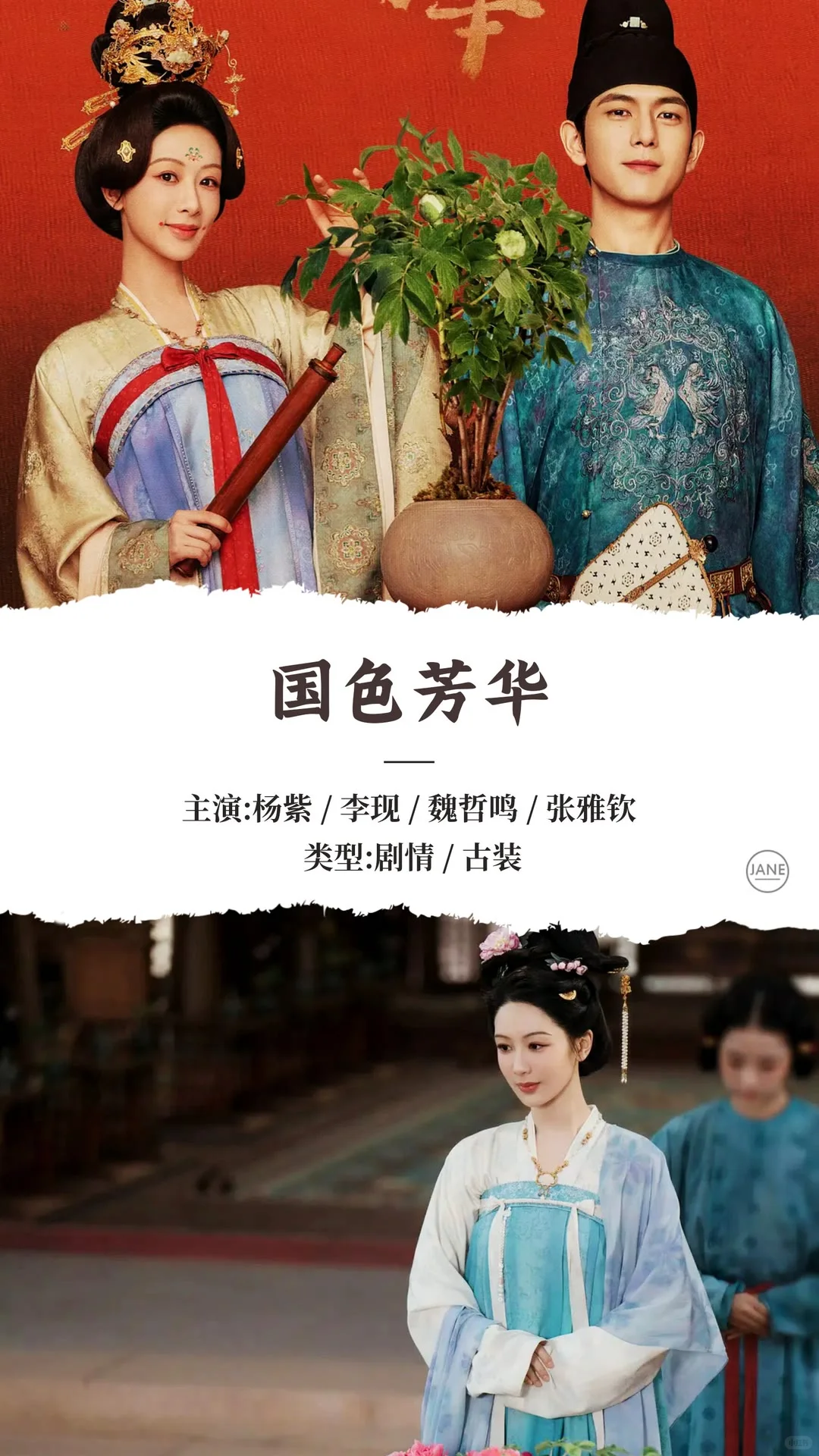 2025年3月热播电视剧推荐